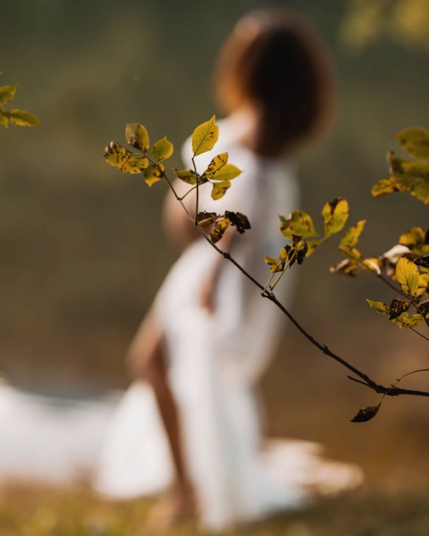 Sessioni che ho amato ma no ho pubblicato: loro 🤍
#pregnancysession #pregnancyphotography #maternityphotography #ticinophotographer #luganofotografo