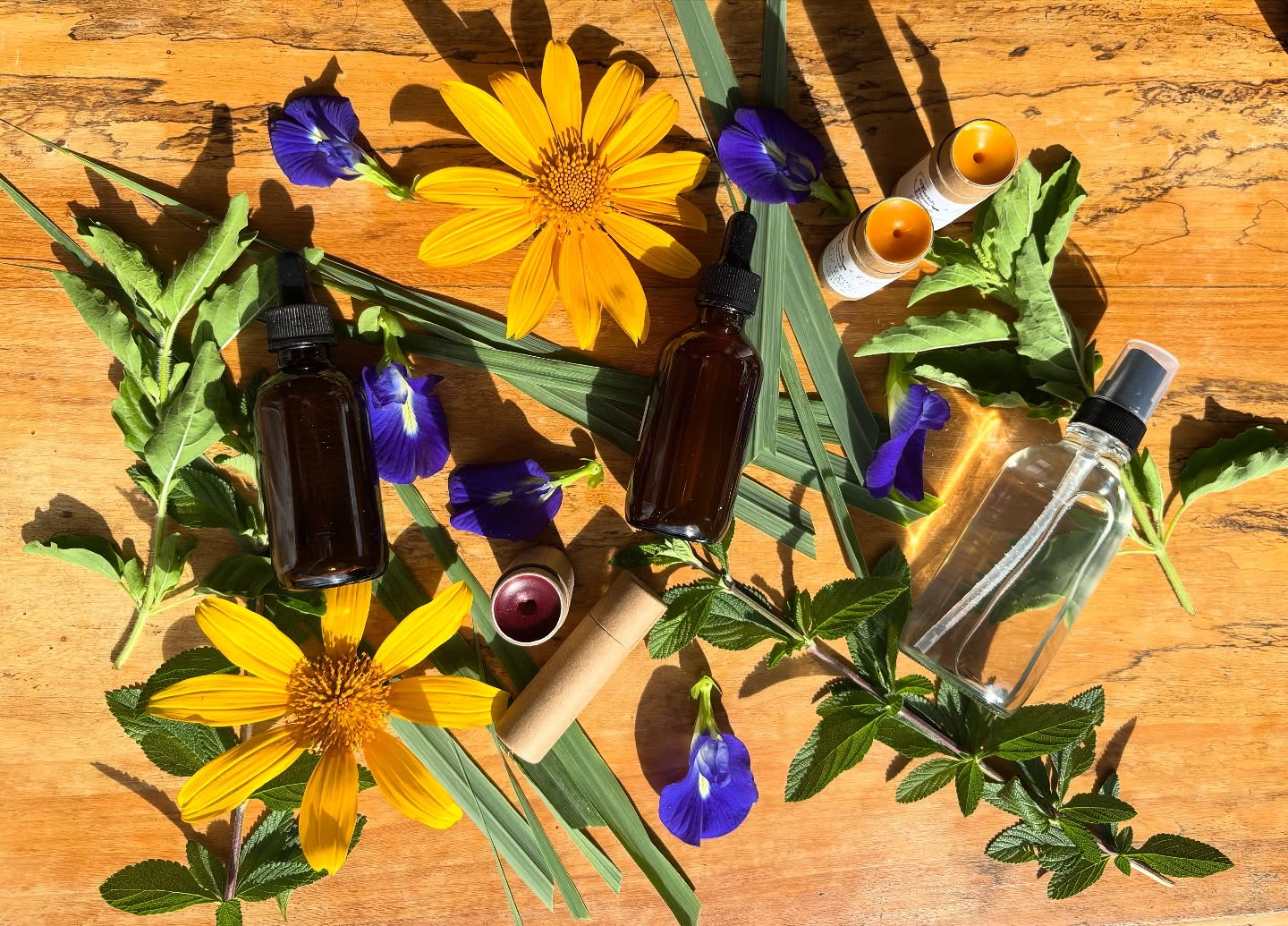 Pre-ordering is now live on my site! 🧡🌼 visit the link in my profile to grab your’s. 💋
•••••••••••
🌎If you are in the Turlock or Las Lajas area, I would love to share some of my handmade botanical products with you! I have tinted lip balm, calendula lip balm, and a lot of yummy herbal potions & plant medicines available for purchase.
💐All handmade by me here on our farm in Las Lajas, Panama.
🛻Once you order, you can pick up in November at the date of your choosing.
xoxo
Nicole
#nourishfarmbotanicals #nourishfarmpanama #plantmedicine #tintedlipbalm