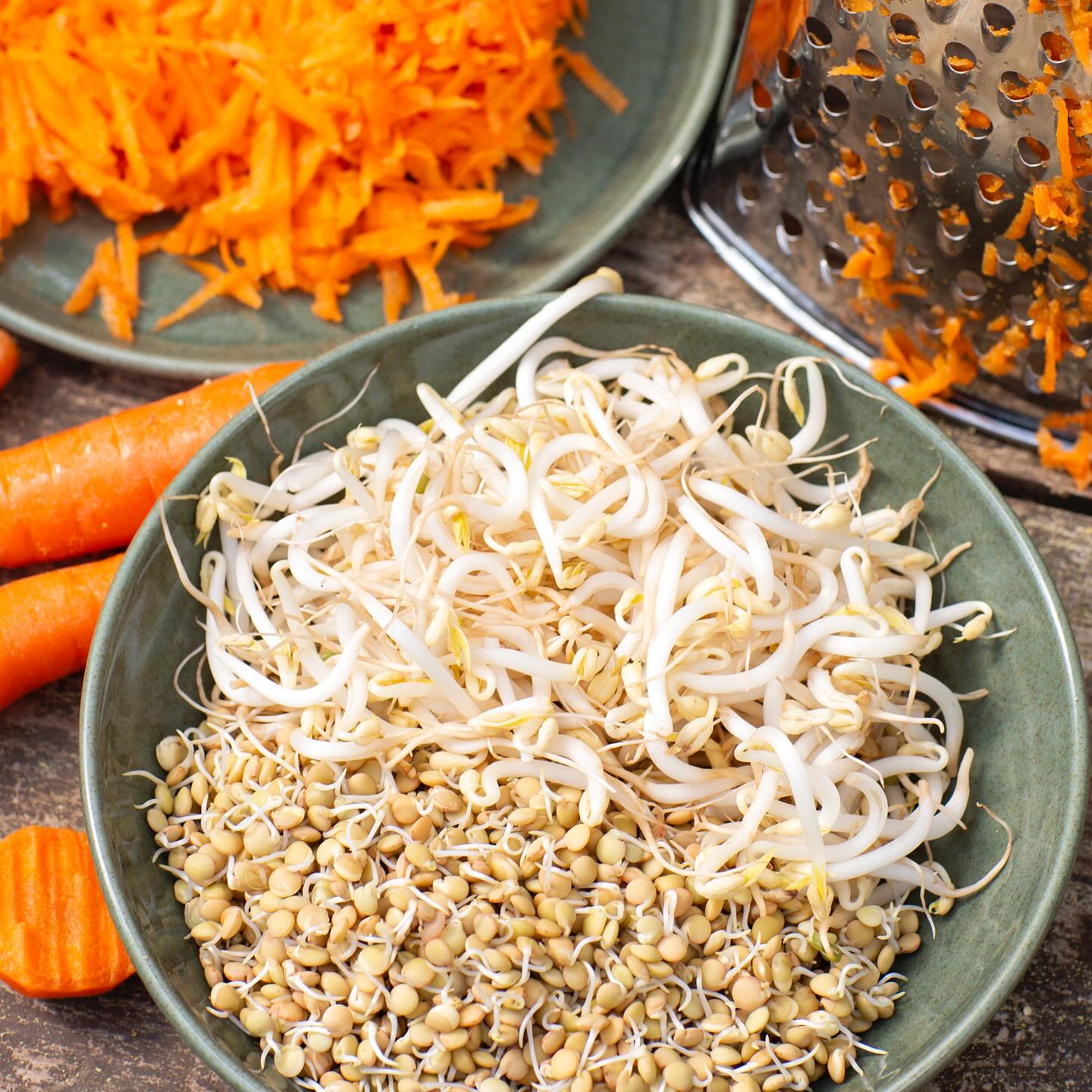 Linsgroddar, böngroddar och rivna morötter 🧡
En matig och färgstark bas till höstens sallader som ger både tuggmotstånd och näring! Enkelt, gott och nyttigt 🌱
#groddar #linsgroddar #linser #böngroddar #mungbönor #sallad #höst #nyttigt #munkagrodden #morot #eko #ekologiskt #närodlat #frånsverige
Foto: @annikasnaturligating 🧑🏼🌾