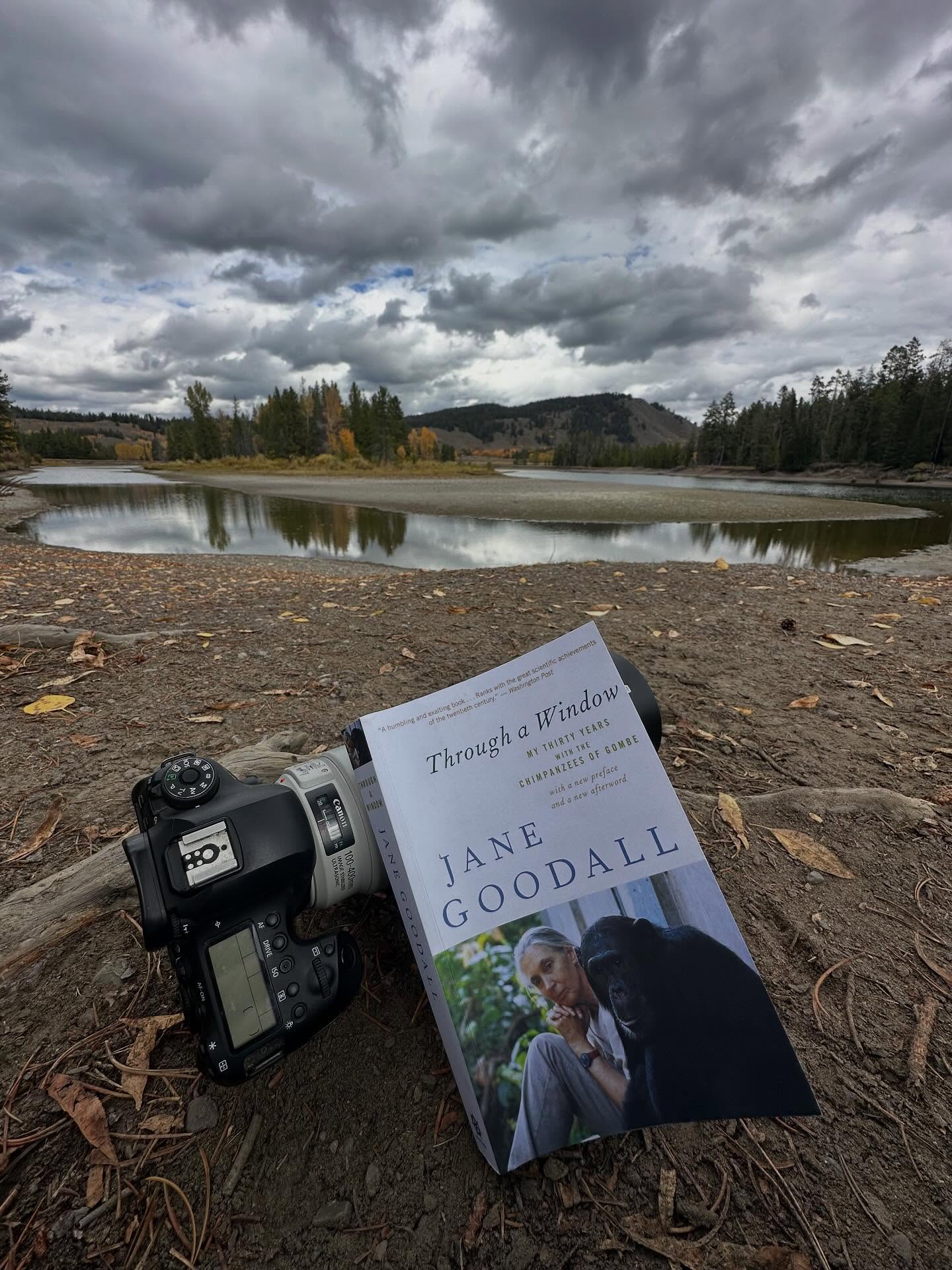 Our planet lost a protector today. One of the greatest protectors it has ever known. I lost a hero today. One of the most inspirational I’ve ever known. I took a break from adventure today to read Jane’s words. Find inspiration and recenter myself in humility. We are merely people on this incredible planet and we have so much to learn from its wild places. Take a moment today to celebrate this groundbreaking legend. This remarkable woman. This inspiring scientist. Take a moment in nature to celebrate Jane. Do it often. You and the world will be far better off. Thank you, Dr. Jane Goodall.