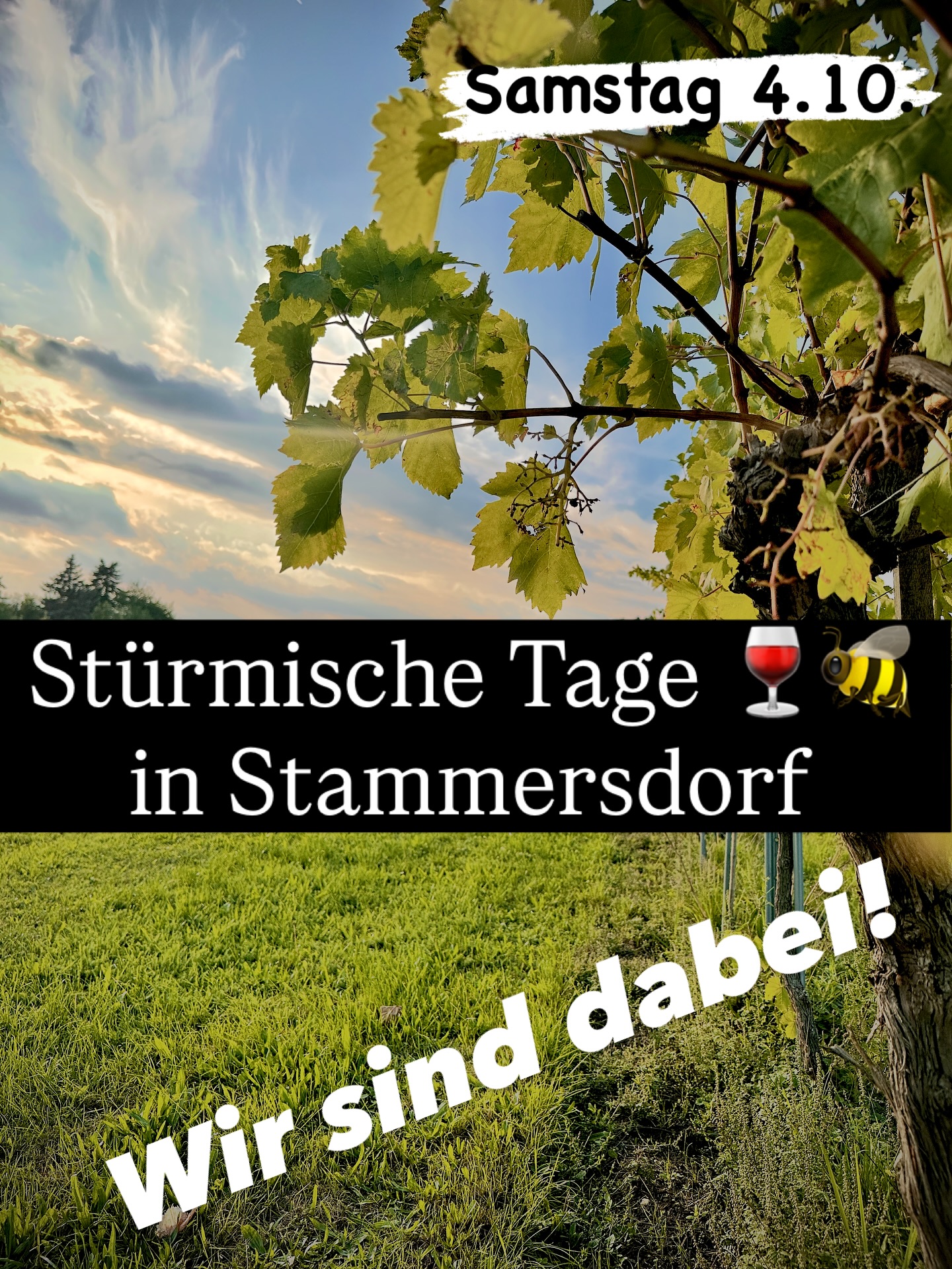 Stürmische Tage in Stammersdorf – am Samstag, 4.10.!
Wir sind mit unserem Imkereistand in der Kellergasse 107, 1210 Wien mit dabei! 🍷
Mit im Gepäck: Bio-Honig aus unseren Bienenvölkern aus Opas altem Weingarten – perfekt zum Probieren und Mitnehmen! 🍯
Kommt vorbei, genießt den Sturm und lasst uns gemeinsam feiern – wir freuen uns auf euch! 🤗🐝