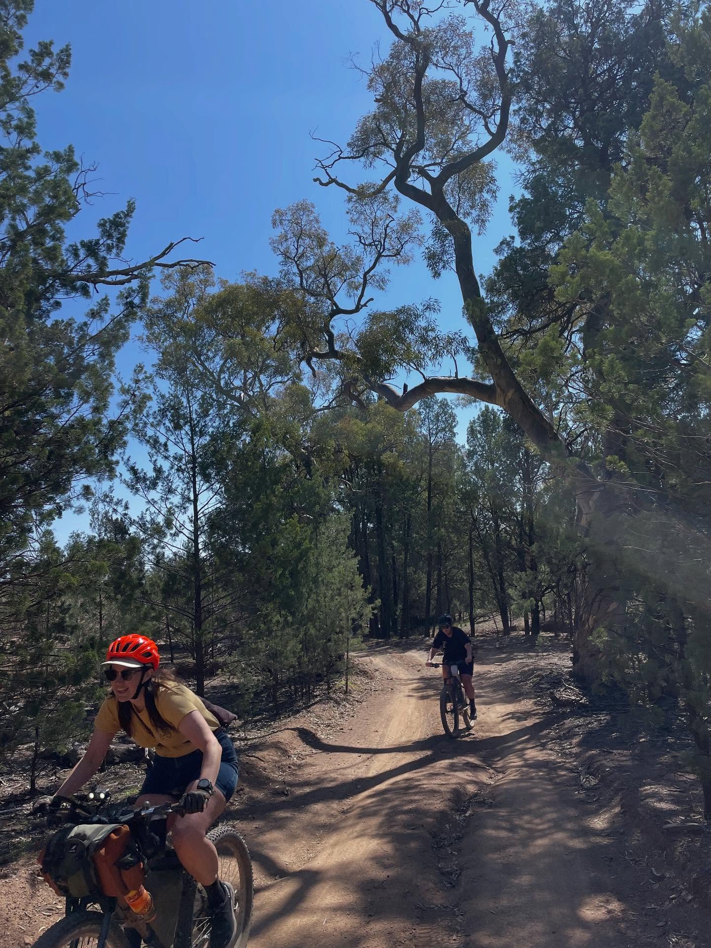 WE’RE BACK ON!
We’ve had a wonderful, relaxing and adventurous break from Durt and we’re ready to roll for the summer!
Wednesday nights, Yarra trails, meet at Darling Gardens rotunda at 6:15 for 6:30 roll out. Yeah!