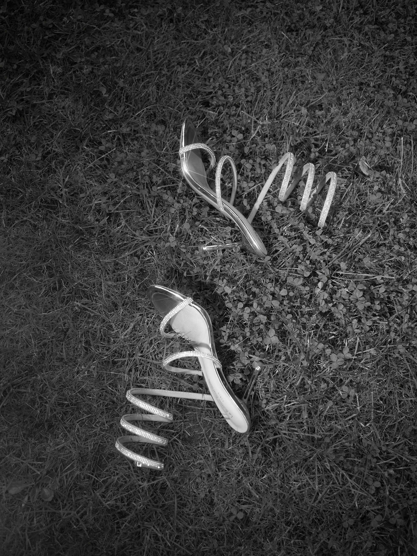 Details caught on the ground 🪩🩶
#bridaldetails #weddingphotography #artfulwedding #intimatewedding #weddingday #bridalshoes