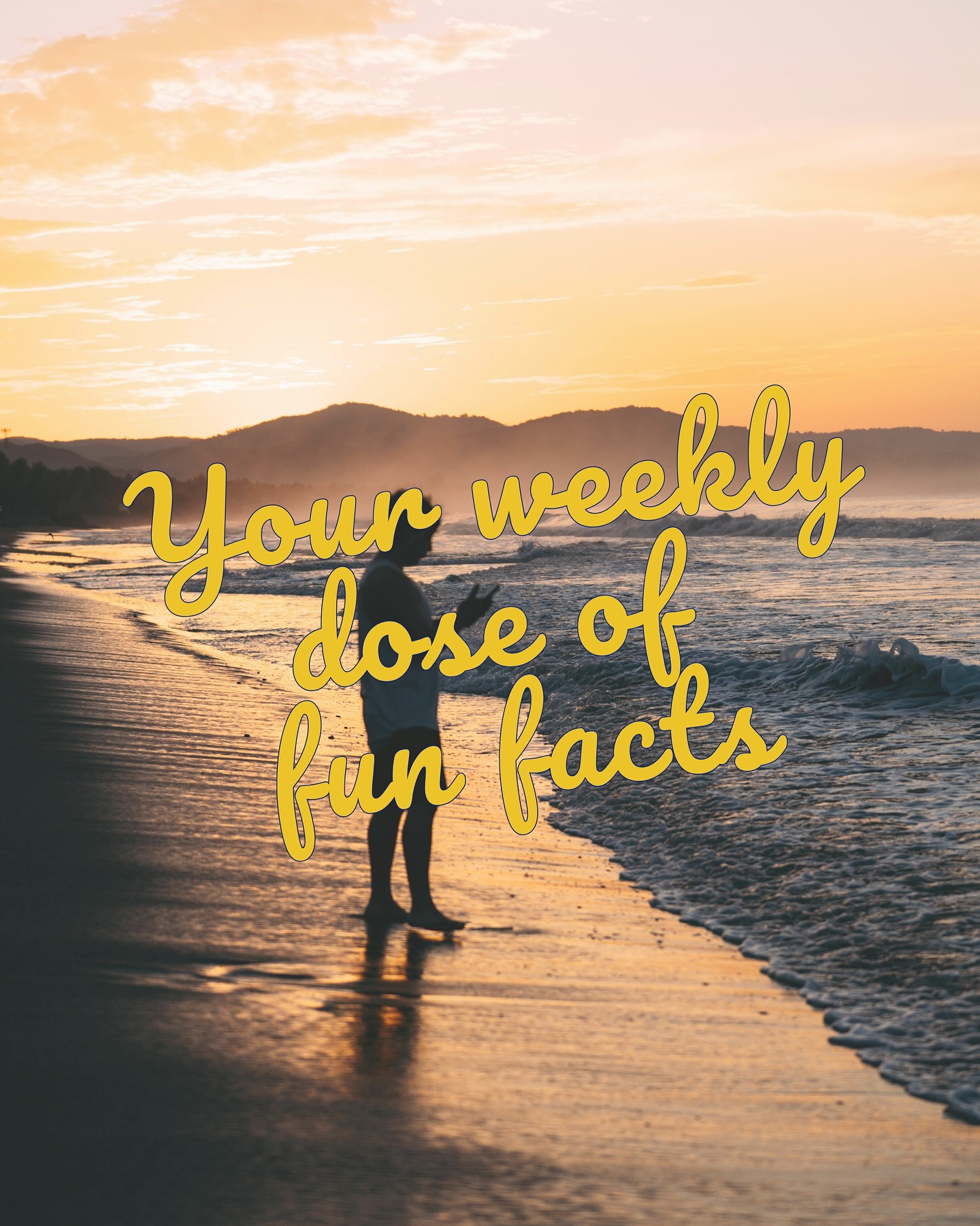 Discover the colors, culture, and landscapes of El Salvador 🇸🇻
📸 From textiles full of ancestral symbols,
🏛️ to Suchitoto, the cultural capital,
🌋 and the turquoise crater lake of Santa Ana volcano
This small country holds big wonders waiting to be explored.
Partner with UNIK Tours to share authentic experiences of El Salvador with your travelers.
-
-
-
✨ Découvrez les couleurs, la culture et les paysages du Salvador 🇸🇻
📸 Des textiles remplis de symboles ancestraux,
🏛️ à Suchitoto, la capitale culturelle,
🌋 et au cratère turquoise du volcan Santa Ana
Ce petit pays cache de grandes merveilles prêtes à être découvertes.
Collaborez avec UNIK Tours pour offrir à vos voyageurs des expériences authentiques du Salvador.