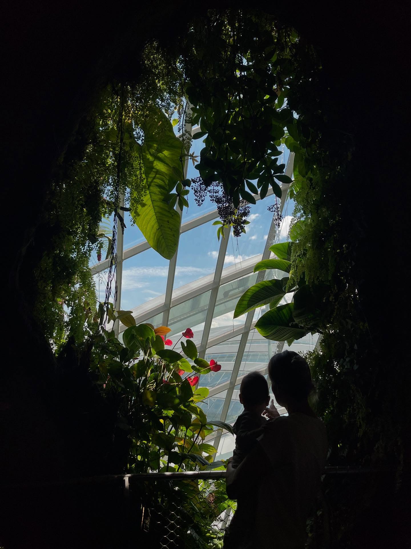 ✨ Everyday life as a mama in Singapore ✨
Between tropical sauna vibes, high-rise living, and nursing rooms that are more luxurious than some hotel suites 😅.
While in Switzerland I used to stroll with the stroller through snowy forests, here I wander through botanical gardens full of orchids 🌺, cling to iced coffee, and escape midday with the baby into air-conditioned malls.
And on the weekend? That’s when Papa gets roped in – Zoo, Bird Paradise, Aquarium, or straight to Sentosa Island 🐒🐧🐠… family time in the tropics. 💛
Would you trade the Swiss mountains for tropical vibes and air-conditioned parking garages? 😉
Read more @ kessencual.com 👉🏼 Link in bio!
*****
✨ Alltag als Mama in Singapur ✨
Zwischen tropischer Sauna-Atmosphäre, Hochhausleben und Stillräumen, die luxuriöser sind als manches Hotelzimmer 😅.
Während ich in der Schweiz mit Kinderwagen noch durch verschneite Wälder spaziert bin, schlendere ich hier durch botanische Gärten voller Orchideen 🌺, halte mich an Eiskaffee fest und flüchte mittags mit Baby in klimatisierte Malls.
Und am Wochenende? Da wird Papa eingespannt – Zoo, Bird Paradise, Aquarium oder gleich Sentosa Island 🐒🐧🐠… Familienzeit in den Tropen eben. 💛
Würdet ihr die Schweizer Berge gegen tropische Vibes und klimatisierte Tiefgaragen eintauschen? 😉
Lese mehr @ kessencual.com 👉🏼 Link in Bio!
#MomLife #MomJourney #LifeWithBaby #FamilyTime #SingaporeWithKids #ExpatMama #EverydayInSingapore #TropicalLiving #LuxuryNursingRoom #FamilyAdventures #LittleExplorer #SentosaIsland #SingaporeZoo #BirdParadise