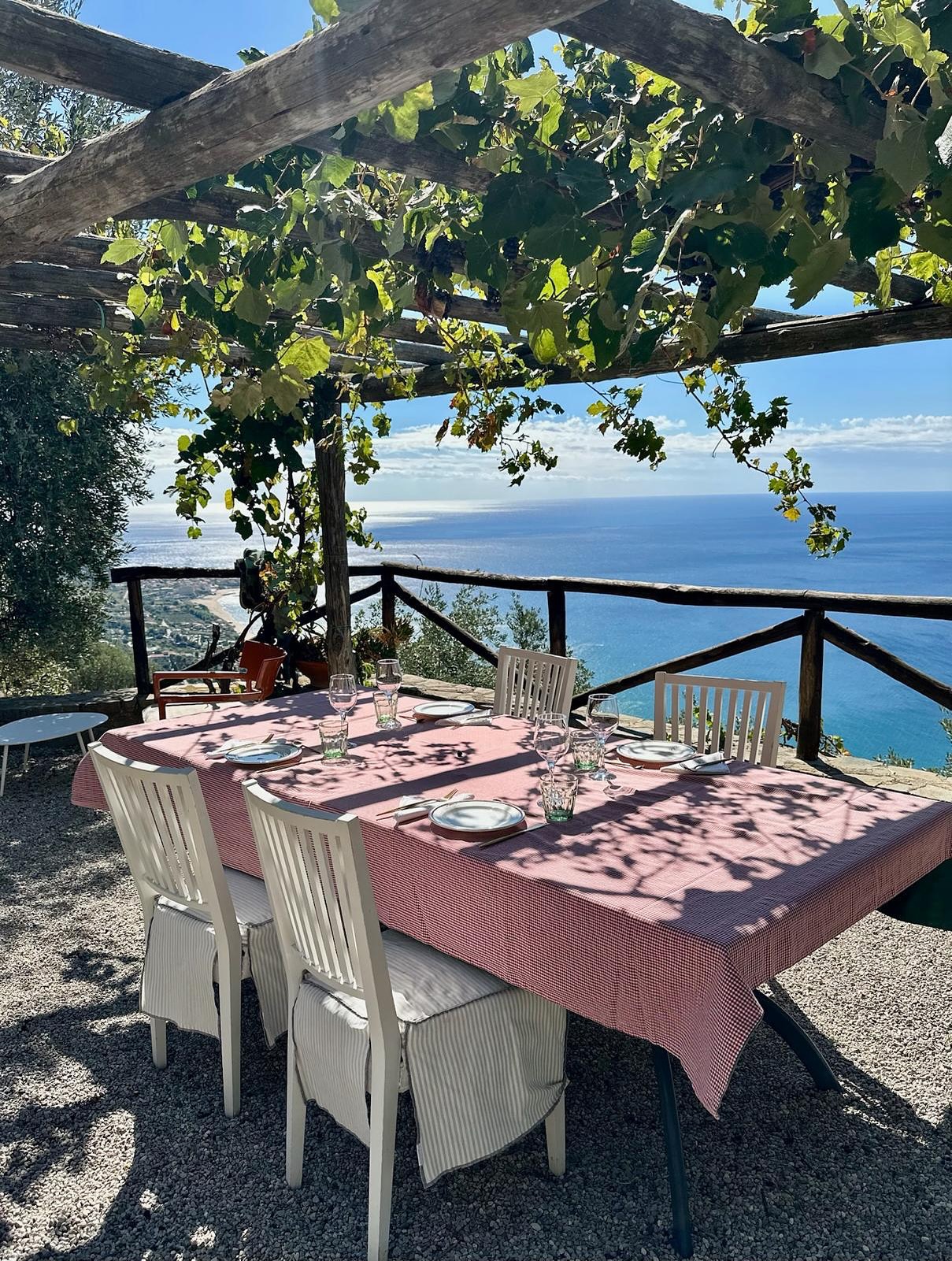 A small group of Bespoke Trip Planning clients wanted to experience the olive harvest in Cilento. Of course you can find beautiful olives and olive oil throughout Italy, but there’s something about that view. 🌊 ☀️ It’s because I work with Arianna, the amazing @southitalyexpert that I can send clients to little pieces of paradise like this that you could never find on TripAdvisor or with ChatGPT. #cilento #oliveoil #harvest #southernitaly #italytripplanning