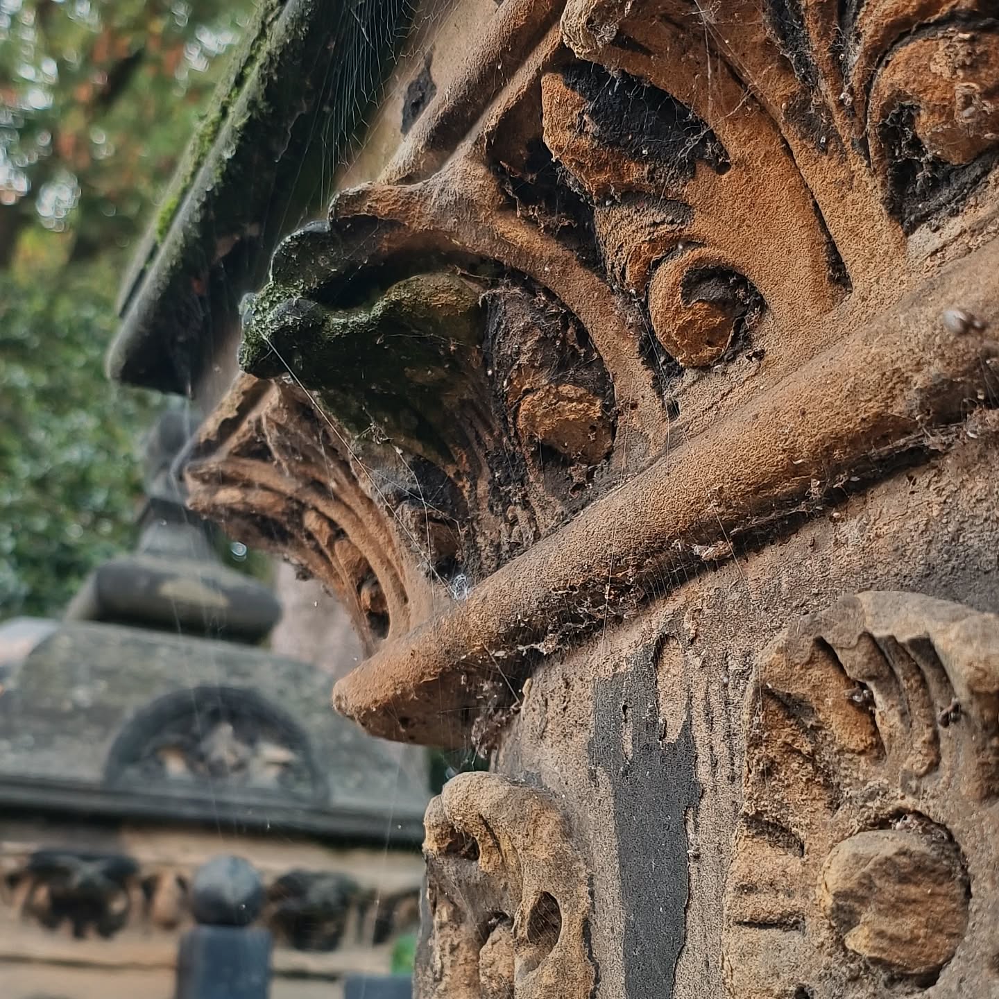 A lovely chat on a beautiful autumn evening walk with a great friend. Good for the soul. 🧡
#autumwalk #autumnbeauty #naturephotography #naturesbounty #fungusamongus #beautyindecay #fungusphotography #alltheleavesarebrown #localwalk #walkswithfriends