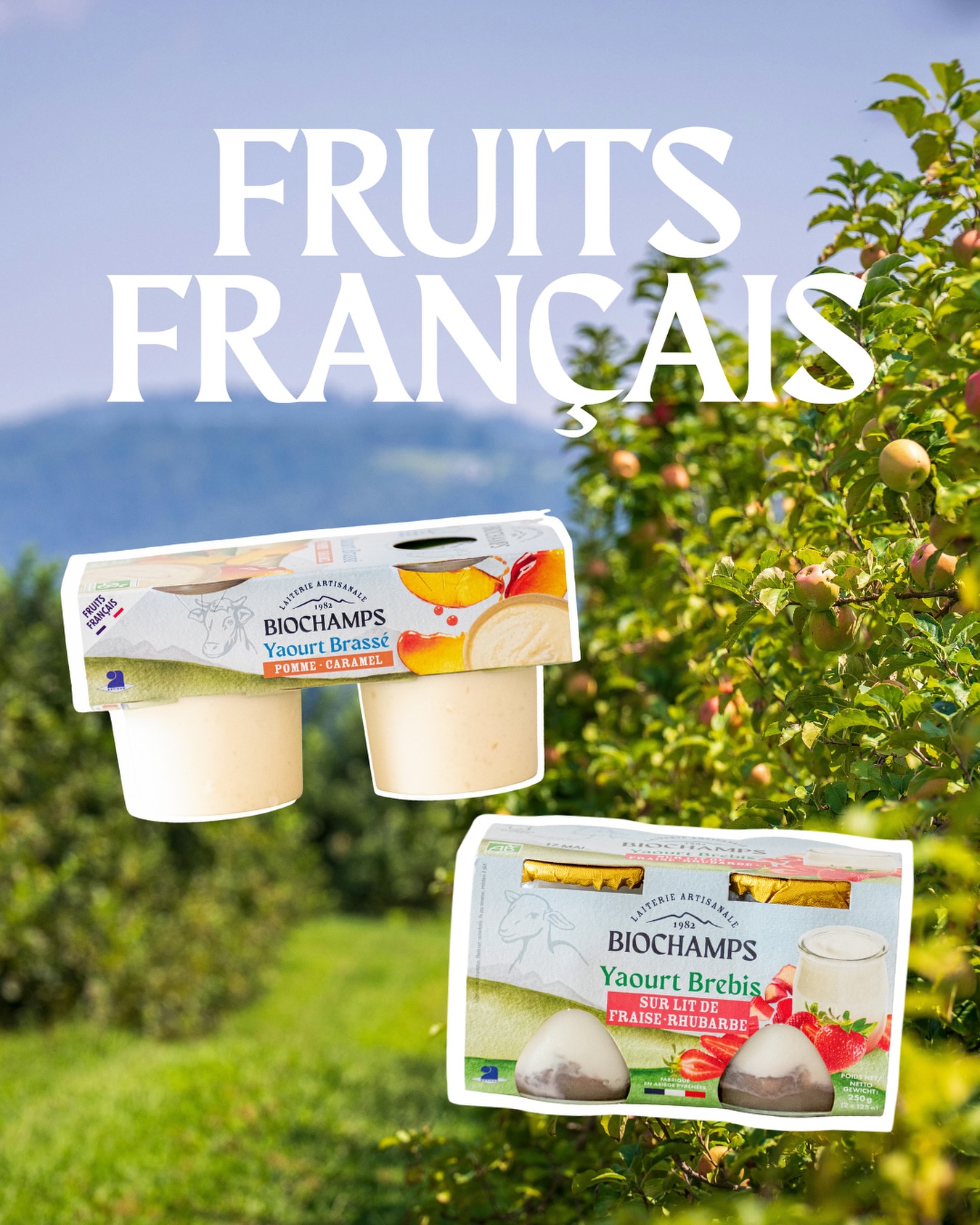 Parce que pour nous l’utilisation de fruits français pour réaliser vos desserts, c’est important 💚