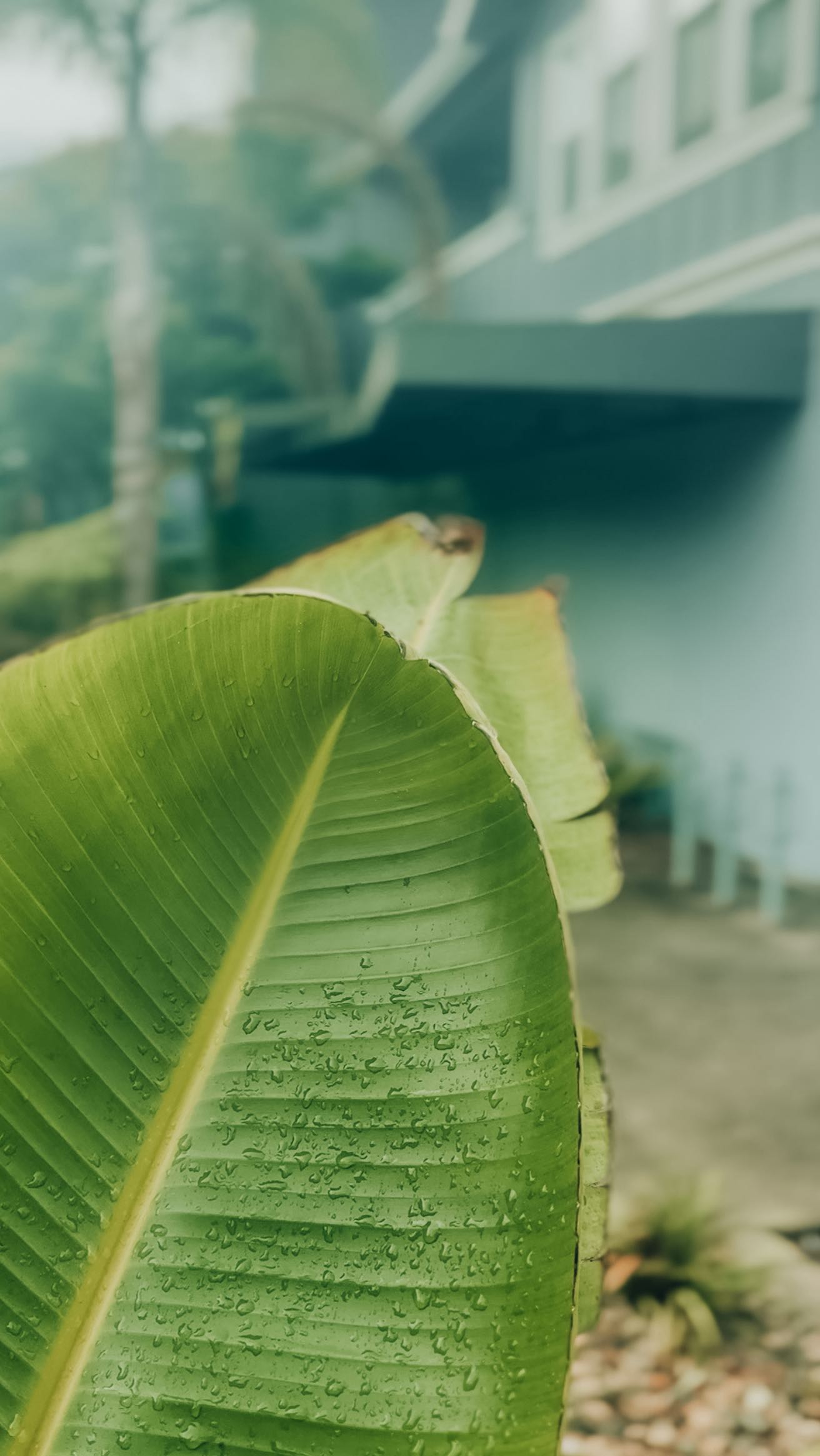 Rain outside, radiance inside. Step into the studio, and suddenly the world slows down. Warm blankets, soft music, calming scents, and a facial that makes you feel your absolute best. 🌧✨