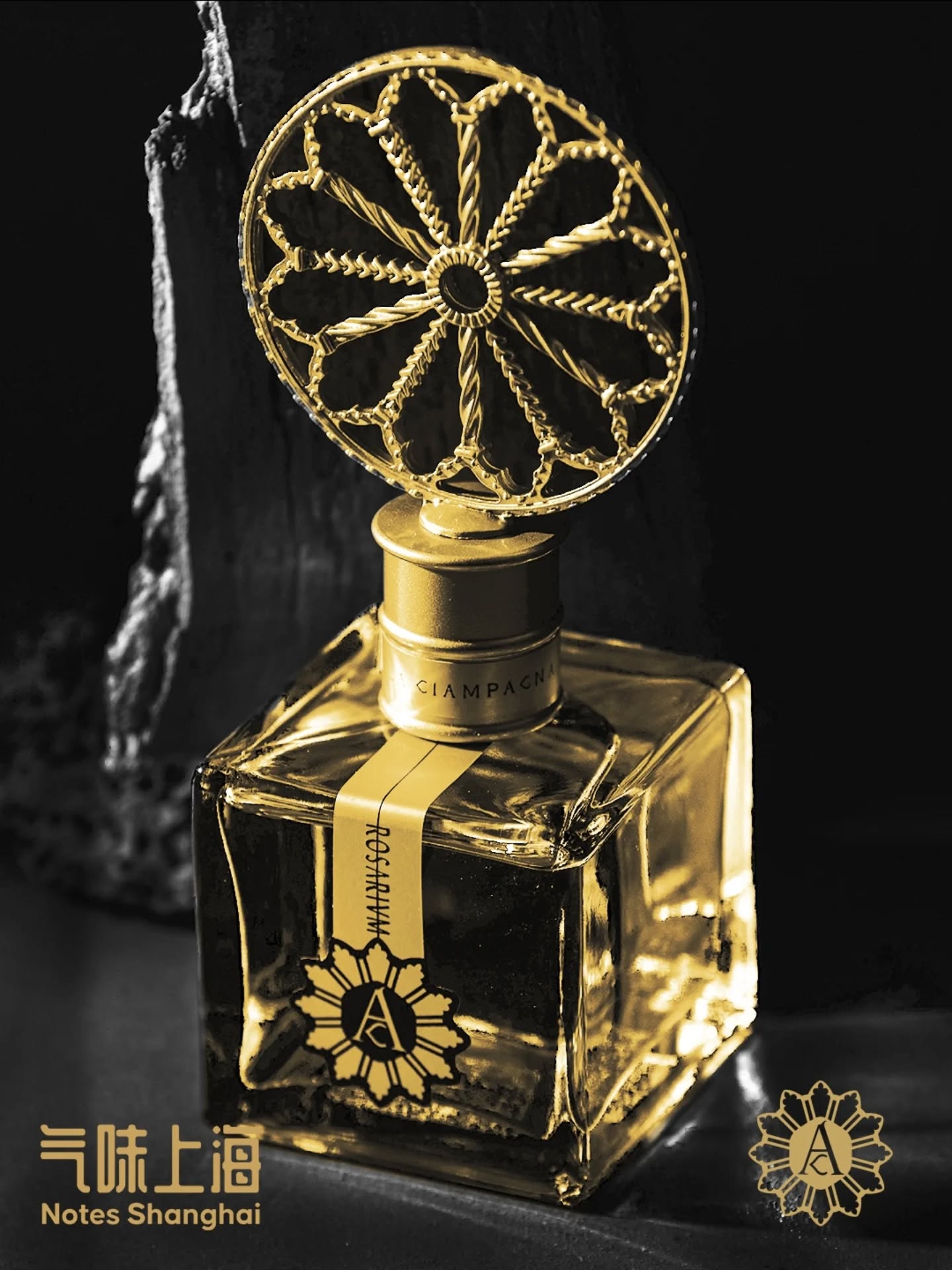 Angela Ciampagna will be present at Notes Shanghai 2025: Past and Future, a leading international stage for artistic perfumery.
We invite you to discover her unique olfactory universe . where artisanal gestures meet contemporary creation, shaping perfume as a cultural expression.
Discover more about Angela Ciampagna at the event and across our official channels.
See you at @notesshanghai
#AngelaCiampagna #AltaProfumeriaArtigianale #NotesShanghai2025 #PerfumeArt #OlfactoryJourney #FragranceCulture #ModernAlchemy