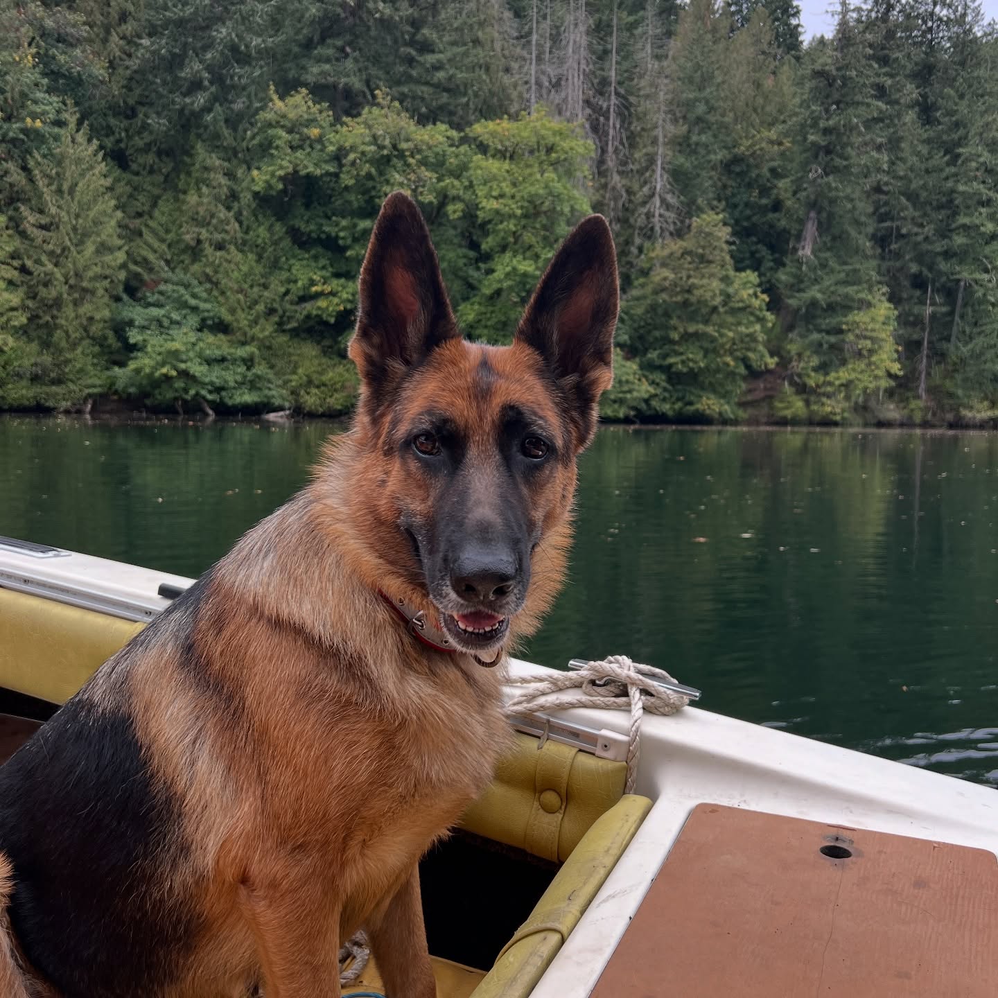 Maggie is enjoying fall and the first fire of the seasonššš