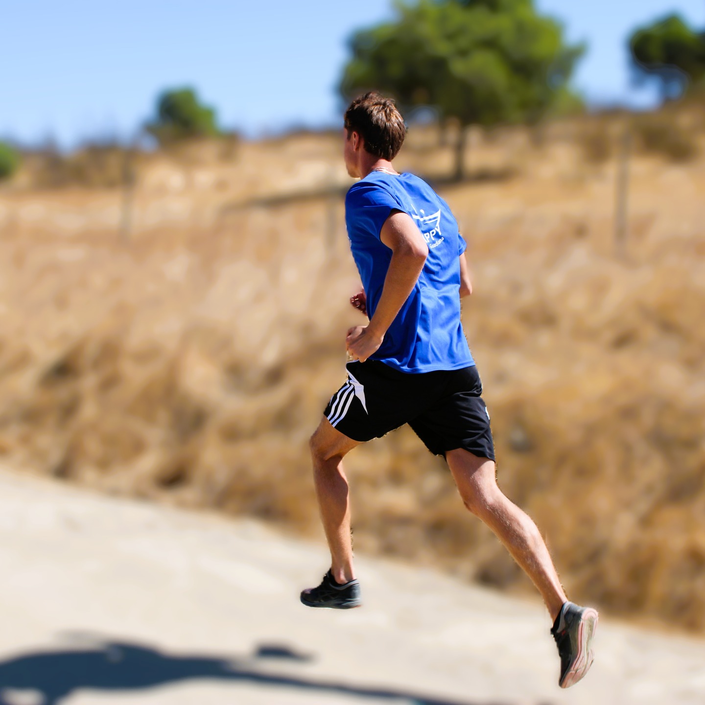 Trilhos de Mértola – Onde a Natureza Encontra a Superação
Entre o rio Guadiana e as colinas do Alentejo, os trilhos de Mértola oferecem um cenário autêntico e desafiador para quem procura aventura, treino e contacto com a natureza.
Com percursos de terra batida, subidas técnicas e vistas deslumbrantes sobre o vale e o rio, Mértola é o destino ideal para atletas, caminhantes e amantes do ar livre.
Aqui, cada passo é uma descoberta — e cada treino, uma experiência inesquecível.
#MertolaTrails #alentejotrails #RunningPortugal #TrailRunningLife #TrainingCamp #RunInPortugal #outdoortraining #natureandsport #MertolaExperience #visitportugal