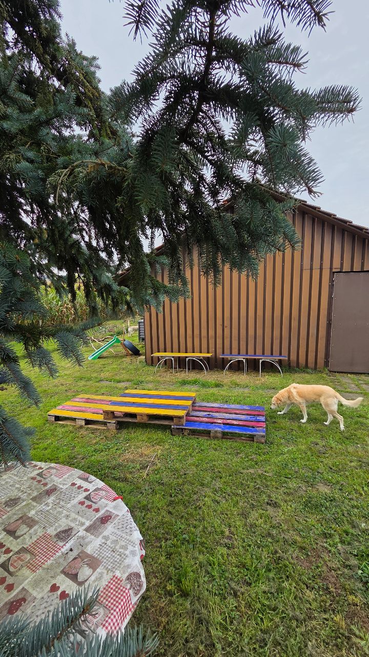 🐾 Neu im Schnüffelgarten – das frisch aufgepeppte Hundeland in 5326 Schwaderloch! 🐾
Unsere Fellnasen dürfen sich freuen: Im Schnüffelgarten Hundeland gibt es ab sofort noch mehr zu entdecken, zu erschnüffeln und zu erkunden. 🌿✨
Hier können Hunde sich frei, natürlich und ganz ohne Druck bewegen – genau so, wie es ihrer Natur entspricht.
Und das Beste: Im Frühjahr 2026 wird es noch ein weiteres kleines Upgrade geben!
👉 Damit alle Vierbeiner die Zeit im Hundeland entspannt genießen können, bitte ich euch, die Regeln einzuhalten:
1️⃣ Kommandofreie Zone – keine Befehle!
2️⃣ Kein Ball- oder Stockwerfen – gilt für alle Wurfobjekte.
3️⃣ Keine Gehorsamsübungen – hier geht es ums Schnüffeln, Entdecken und Spaßhaben.
4️⃣ Pro Nutzung ein Hund – außer Hunde, die zusammenleben oder sich gut kennen und sich gemeinsam wohlfühlen.
📅 Nutzung nur mit Reservation
📞 +41 79 463 95 30
💰 Kosten: CHF 15.00 / 45 Minuten pro Hund-Mensch Team maximum 2 Hundeführer und 3 Hunde
Lasst eure Hunde den Garten erleben – schnüffeln, forschen und einfach Hund sein. 🐶💛
Ich freue mich auf deinen Besuch 🐾 von herzen für dich und deinen Hund Yory Garcia’s Code.Doglove