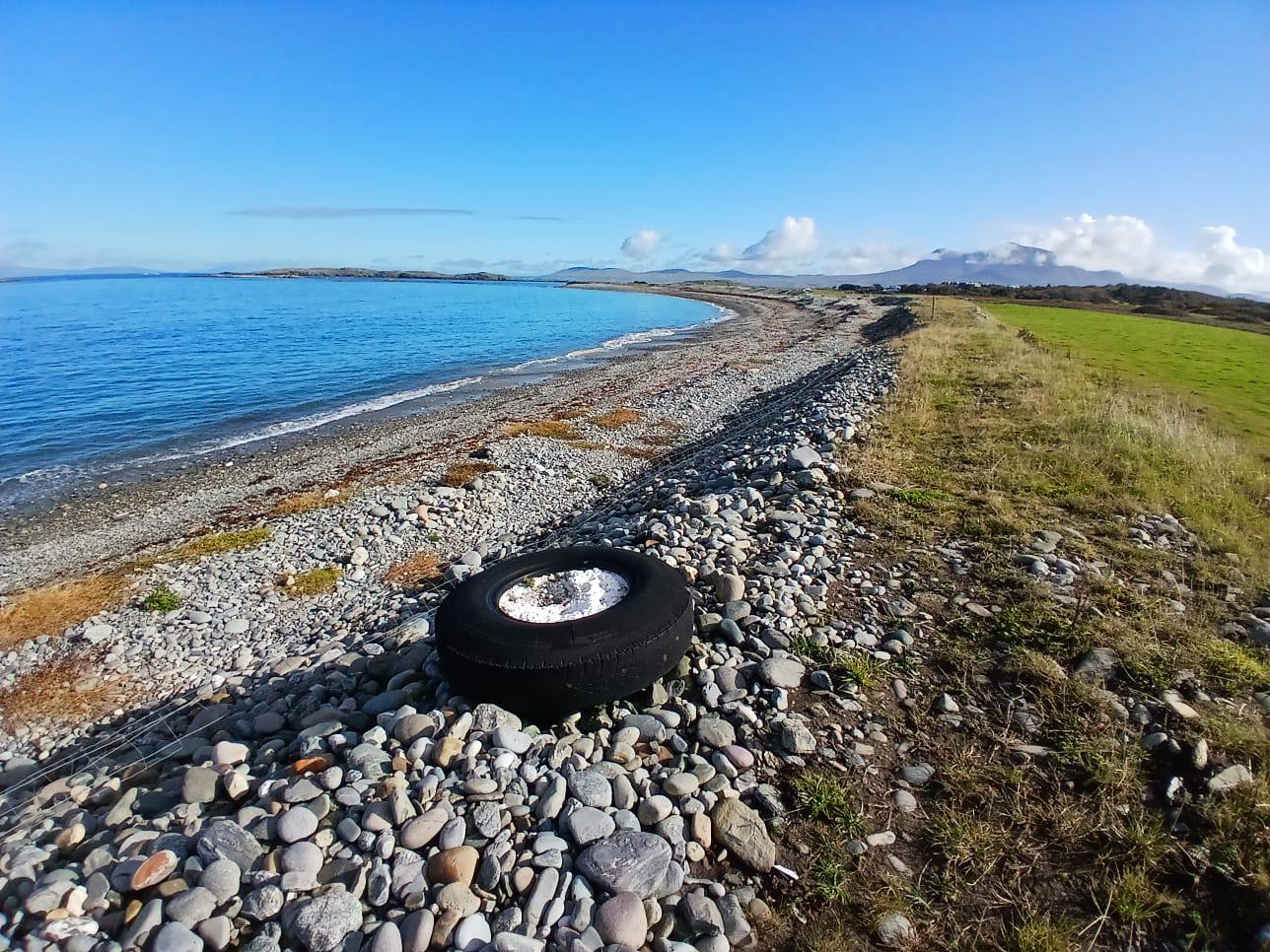 A kaleidoscope of colour on the shore in Connemara discovered the other day by @marielouiseheffernan as she conducted a shore survey!
Book your survey unit today to see for yourself how colourful the shore can be! https://www.coastwatch.org/all-ireland-survey-autumn-2025
Send us pictures of your unique discoveries!