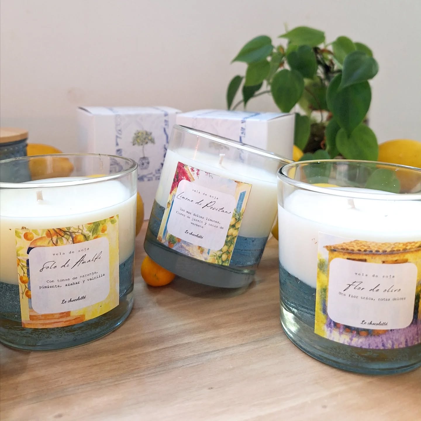 Velas inspiradas en la playa! Base de gel y los aromas de autor unicos de nuestra marca
Ya disponibles en la tienda online!
#playa #beach #amalficoast #regaloperfecto #velasaromáticas #vela #empreendedorismo #emprendimiento #emprendedores #decoración