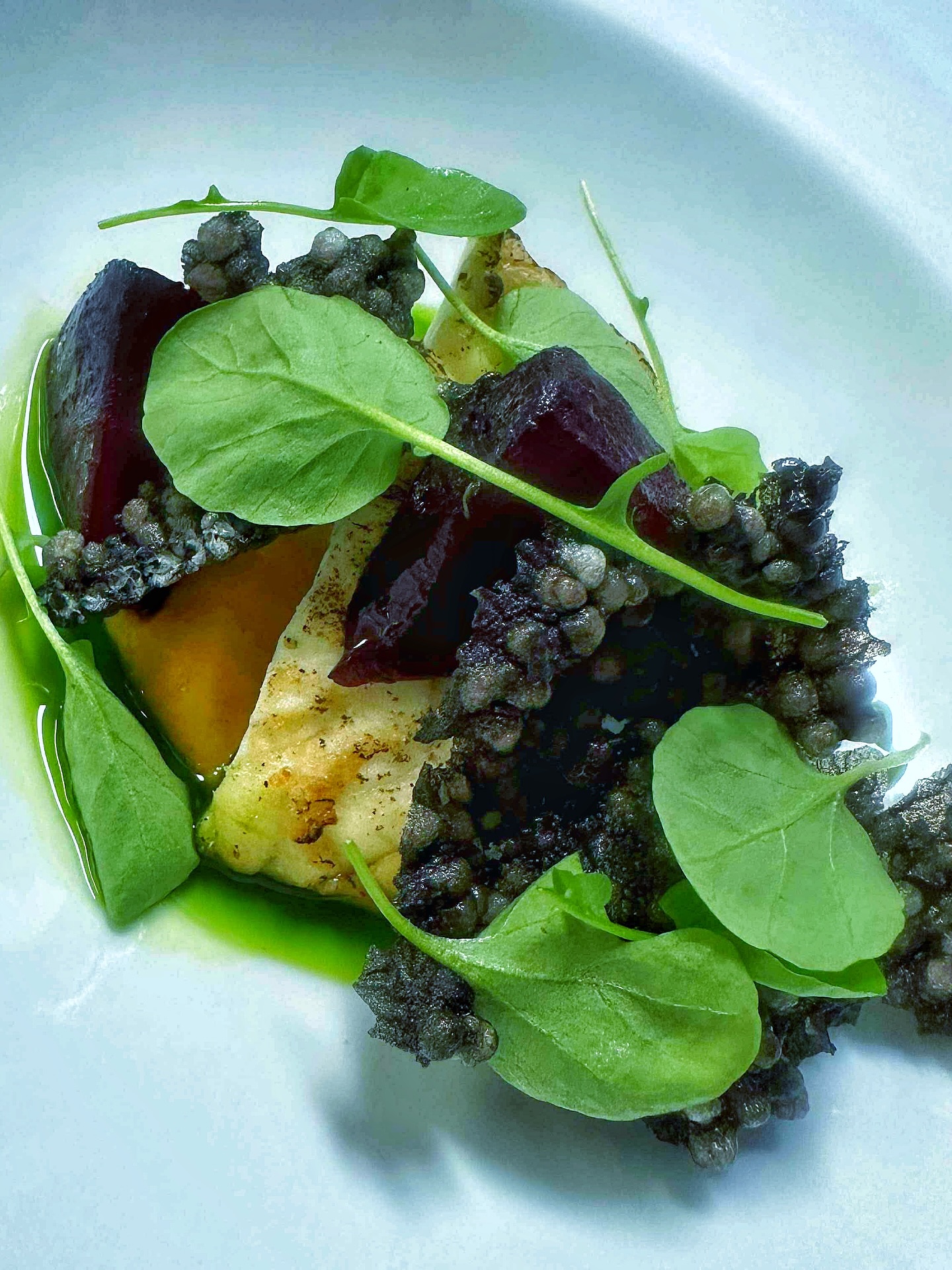 Grillet breiflabb
Servert med gresskarpure, sprø blekksprutcrisp og variasjon av bakte beter fra Bjørke Gård.
#kleivstua #kleivstuahotell #møtestedetpåkrokskogen #konferansehotellerno #classicnorway #mat #middag #food #breiflabb #kortreistmat #krokkleiva #sundvollen