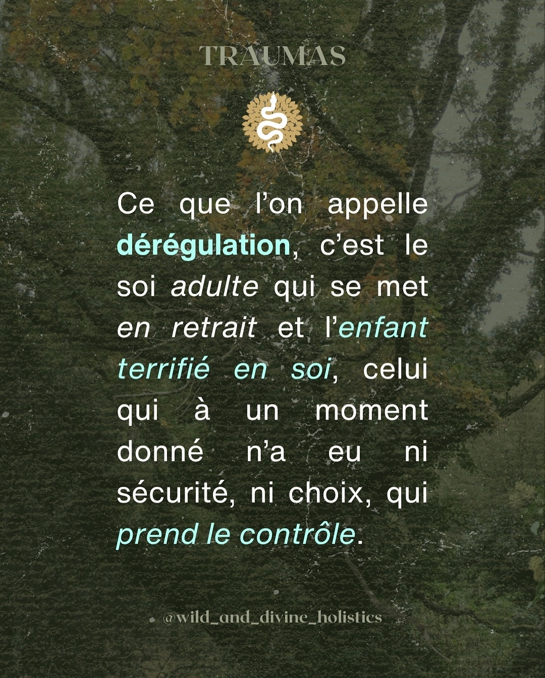 Le trauma ce n’est pas une blessure émotionnelle lambda ou des simagrées. C’est un mode de fonctionnement extrêmement complexe, destructeur et isolant à l’origine d’une profonde souffrance psychologique. Lorsque je vois certains commentaires sur les réseaux ou dans la vie de tous les jours, il apparaît clairement que le trauma reste un sujet majoritairement mal compris et tabou. À cela s’ajoute qu’il est également souvent mal appréhendé et donc très mal soigné.
Le corps est la porte d’entrée qui ouvre la voie vers un chemin de guérison qui adresse l’origine de la blessure: le système nerveux.
#somatique #somatiqueénergétique #traumas #régulationémotionnelle #systemenerveux #psychotrauma #blessureémotionnelle #santémentale #santéholistique #accompagnementpersonnalisé #anxiété #blocages #wildanddivineholistics