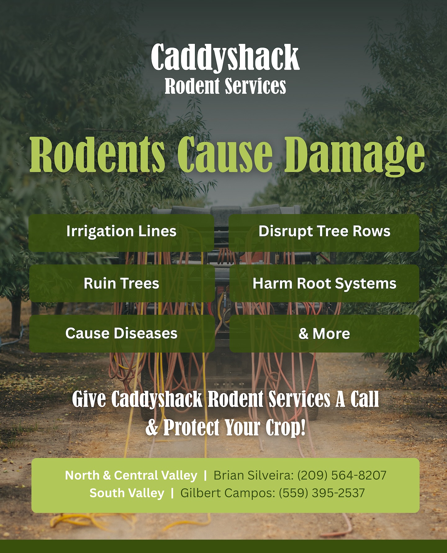 Got rodents making themselves at home where they donโt belong? ๐๐ณ Caddy Shack Rodent Control has the tools, the team, and the know-how to clear them out and protect your property. Donโt let pests take overโlet us help you take back control! ๐ช #rodentcontrol #rodents #caddyshack #pestcontrolservice #californiafarming #farming