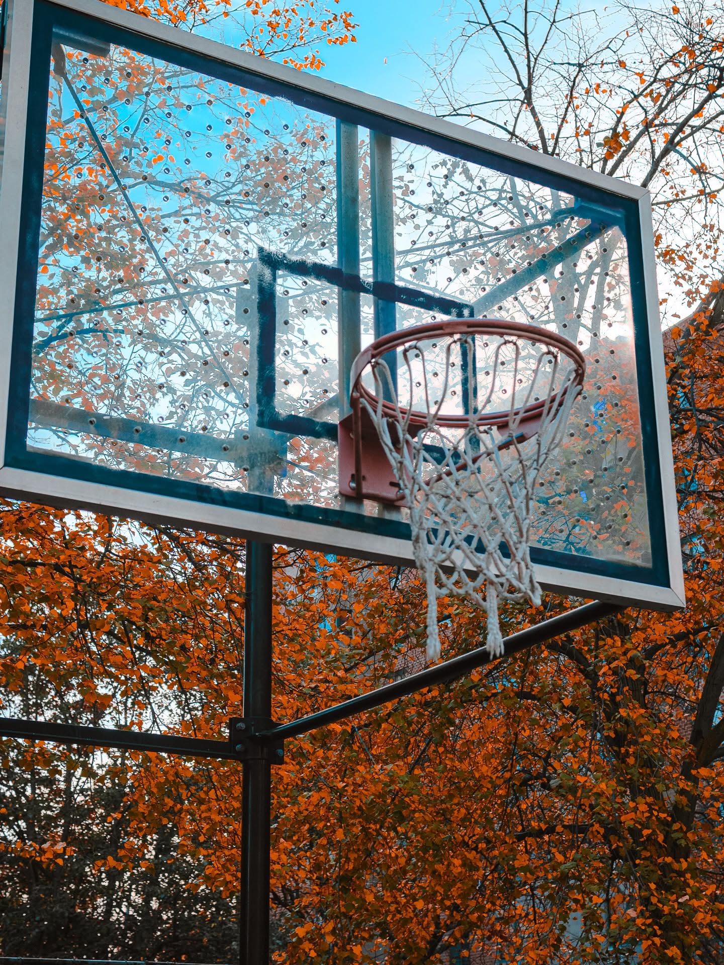 There’s something special about a fall court—quiet streets, leaves drifting down, and the sound of the ball echoing off the backboard. 🍂🏀
#AutumnVibes #BasketballLife #SportsPhotography #FallHoops #StreetBasketball #CourtCulture
#BasketballVibes #FallHoops #CourtCulture #CityHoops #StreetBasketball #AutumnVibes #SportsPhotography