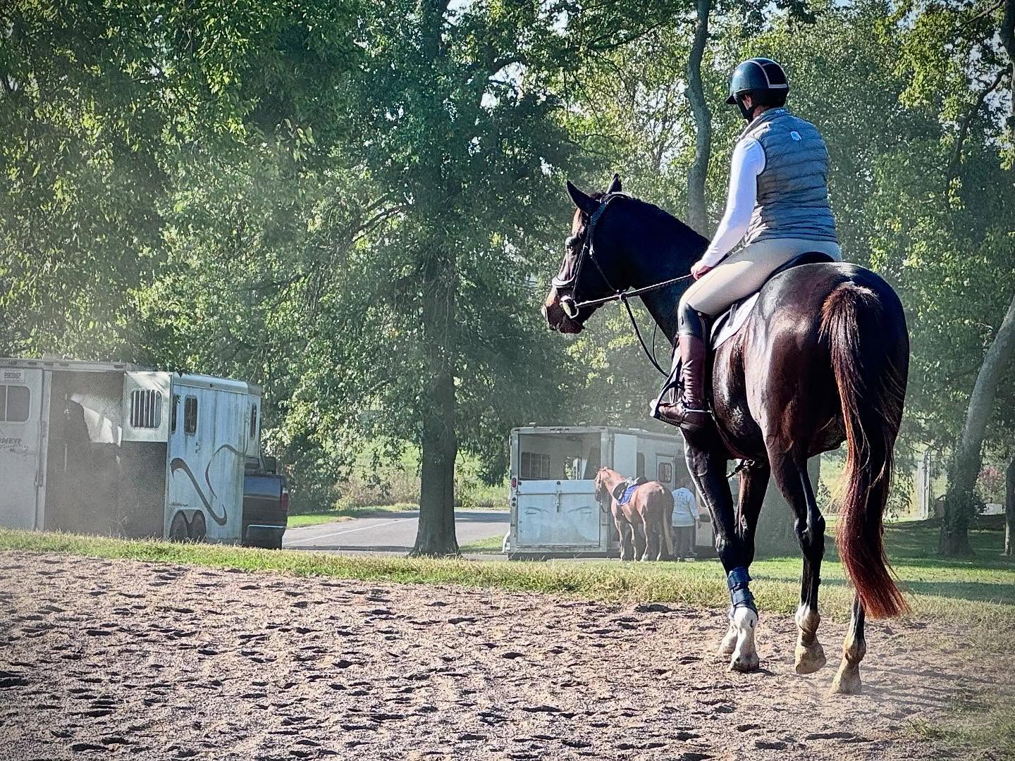 First little show-like experience for stakes winner and track record-setter Carpenter's Call! I love that @jillmpritchard - his breeder - is there for every milestone in his and her other horses lives! #thoroughbred #brownsteadrestart #ottb #goponytoshowpony