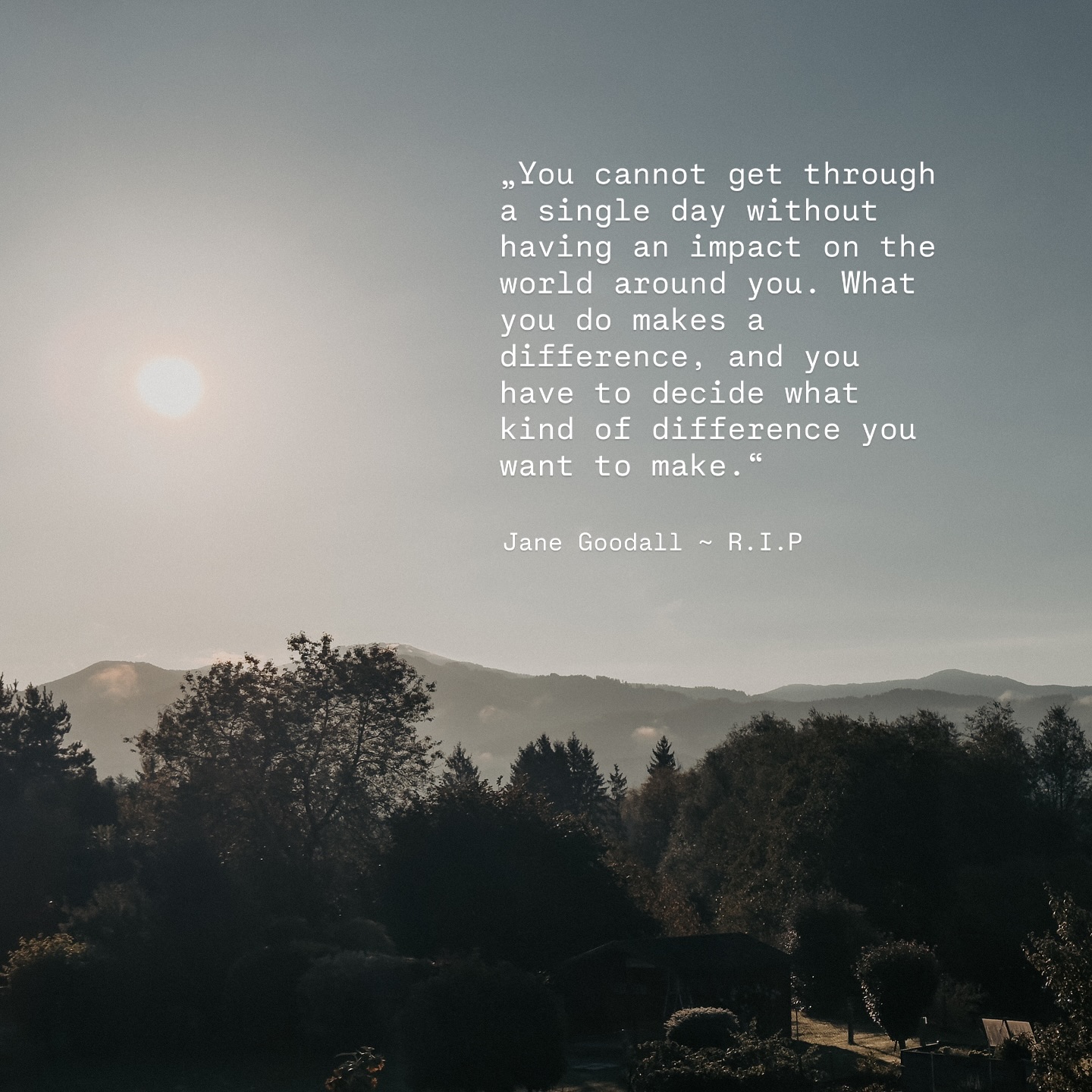 Jane Goodall ~ R.I.P. ✨🥀