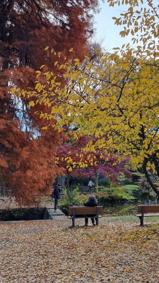 Ces auteurs qui ont révolutionné le genre SFFF - PARTIE II
*Jules Vernes
(Vingt mille lieues sous les mers)
Avec Vingt mille lieues sous les mers, Jules Vernes fait de la science anticipée la base de la SF moderne.
*H.P. Lovecraft
(Ensemble de l'œuvre)
Avant Lovecraft, l’horreur était surtout gothique ou psychologique. Avec son œuvre, elle devient métaphysique, soulignant que l’univers dépasse largement la condition humaine, pour le meilleur comme pour le pire.
*Robert E. Howard
(Conan Le Barbare)
Avec Conan Le Barbare, Howard aborde des thèmes plus sombres que ses pairs. C'est le début de la Dark Heroic Fantasy.
*Isaac Asimov
(Fondation)
Avec sa saga Fondation, Asimov établit les bases d’un univers rationnel, structuré par des lois et fondé sur une trame historique et sociologique. Une approche inédite, à une époque où la SF se concentrait surtout sur les sciences dures.
*Ray Bradbury
(Chroniques martiennes)
Avec Chroniques martiennes, il mêle SF et poésie. Du jamais vu !
Quid d'une partie III ?
N'hésitez pas à vous abonnez pour plus de contenu autour de la littérature ✒️
Mots-clés : littérature de l'imaginaire - SFFF - auteurs classiques - romans - Fantasy
Hashtags: #litteraturedelimaginaire #roman #littérature #auteurs #sfff #Fantasy #fantastique #bookstagramfrance #bookstagram