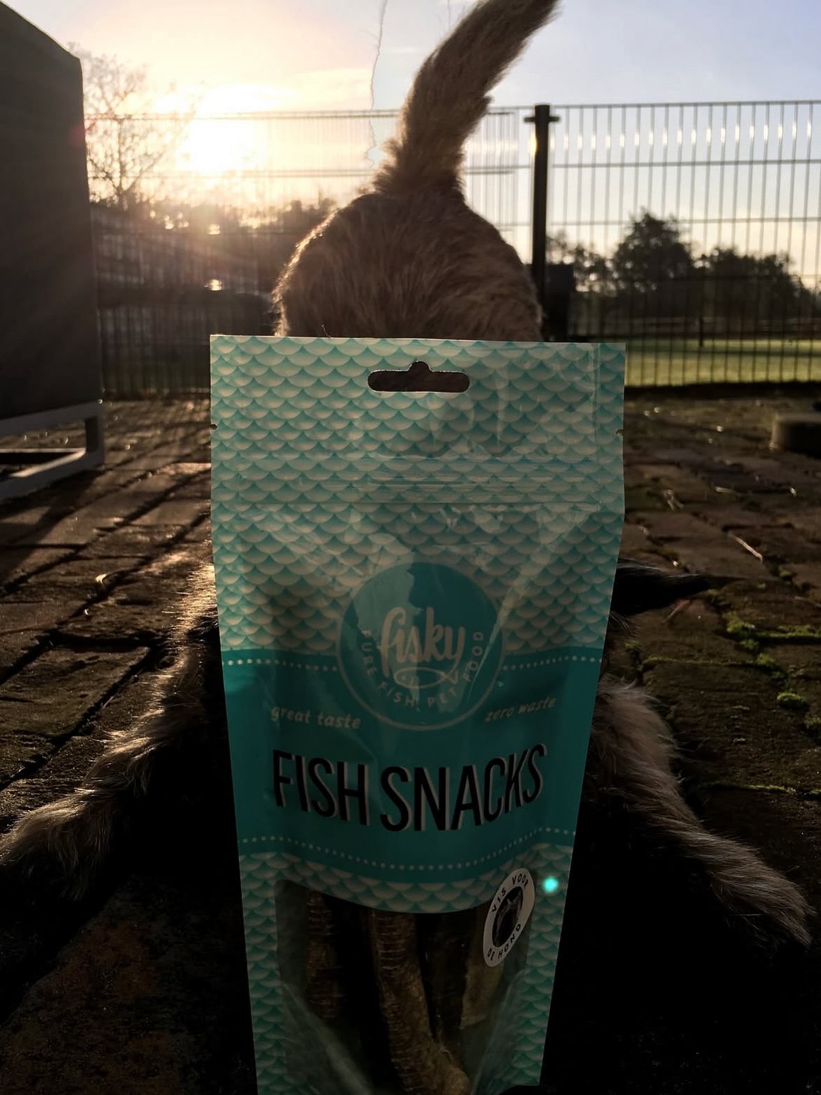 Dierendag 🐾 Vandaag mag jouw trouwe viervoeter extra genieten. Geef ‘m iets lekkers uit de zee: puur, gezond en natuurlijk. Een kleine traktatie, een groot moment samen.
@fiskypetfood 💙
#dierendag #fiskypetfood #hondensnacks