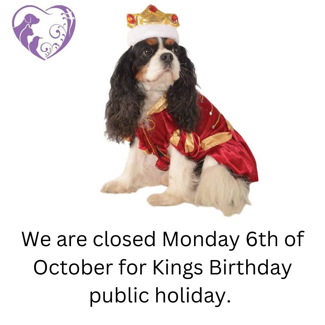 For all emergencies over the long weekend please contact @animalemergencyservice at Carrara or @sash_vets Robina. We will reopen Tuesday at 8am.