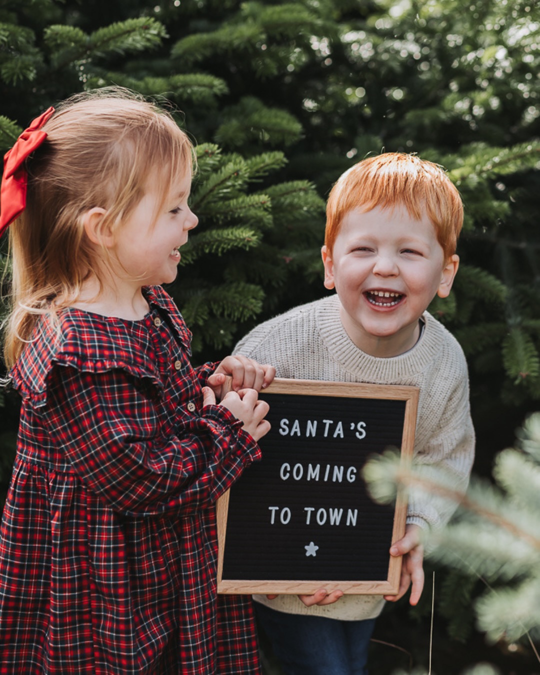 ✨ Christmas Tree Minis are BAAACCKKKKK! ✨
These little sessions have become one of my favourite traditions — families coming together, kids in their Christmas jumpers, and that magical sparkle of the season. Think cosy, festive fun and photos you’ll actually want to put on the mantelpiece.
🎄 20 minute session
📸 3 beautifully edited images (with the option to upgrade)
📆 1st and 9th November
📍 Colchester location
💷 £95
Spots are limited and they’re already filling fast… once they’re gone, that’s it!
👇 Comment ‘Christmas Tree’ and I’ll send you the link to book.