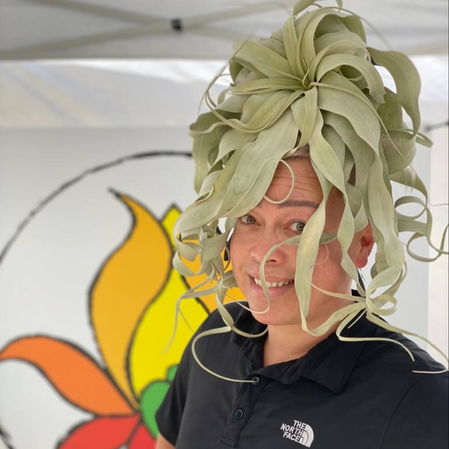 “Bad hair day? Never heard of her! When your curls are this naturally gorgeous, you just roll with it — courtesy of my fabulous Tillandsia xerographica stylist 💁♀️💚
Zero effort. 100% air-plant fabulous. #tubloom”
Hashtags (feel free to tweak):
#TillandsiaQueen #AirPlantStyle #Xerographica #PlantHairDontCare #LivingArt #BotanicalBeauty #PlantHumor #GardenStyle #PlantFashion #PlantLover #NatureCouture #GreenGlam #PlantPower #UrbanJungle #BotanyWithAttitude #GrowWithStyle #PlantLife #TuBloom
#ChicagoBloom