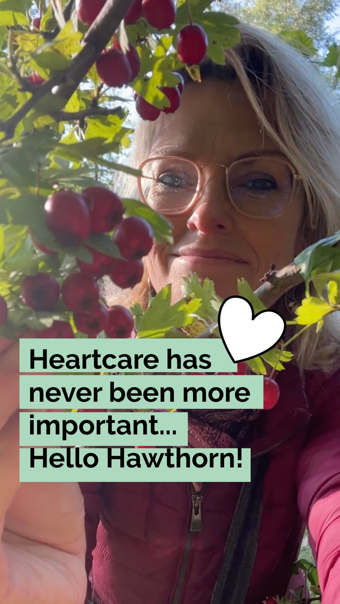 Caring for your heart ā¤ļø has never been more important.
Every 34 seconds in the US, someone dies from cardiovascular disease. In Europe, it claims 10,000 lives daily. Globally, heart disease deaths jumped from 12.4 million to 19.8 million in just 32 yearsāa 60% increase.
Weāre moving in the wrong direction.
Enter Hawthornāa berry with 2,000 years of traditional use for heart health, now supported by modern research. It dilates coronary arteries, increases blood flow to the heart muscle itself, and helps steady irregular heartbeats. Rich in flavonoids and oligomeric procyanidins, these little berries support the cardiovascular system in ways our ancestors understood long before cardiology existed.
This isnāt about replacing medicineāmany pharmaceuticals are lifesaving and necessary. This is about awareness. About prevention. About knowing what else exists to nourish the hardest-working muscle in your body.
Your heart beats 100,000 times a day. Shouldnāt we support it?
š Have you tried hawthorn? Whatās your go-to for heart health? Drop it in the commentsāletās learn from each other. ā¬ļø
š Save this post and try a different tea each day this week! Your digestive system will thank you
š Follow @helloherbal.world for tips and DIYS for for natural health, non-toxic living and herbal remedies
ā ļø Iām not a doctor. Always seek medical advice from qualified healthcare professionals. This is for educational purposes and encourages you to do your own research.
#HawthornBerry #HeartHealth #Herbalism #CardiovascularHealth #NaturalRemedies #herbalremedies #BloodPressure #HolisticHealth #Herbalist #HeartSupport