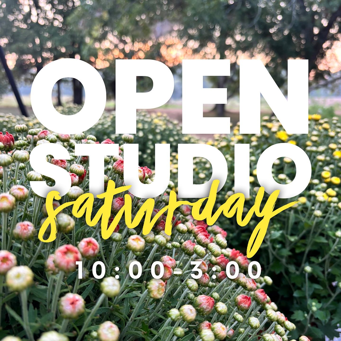 Open studio Saturday 10:00-3:00…new shipment of mums!