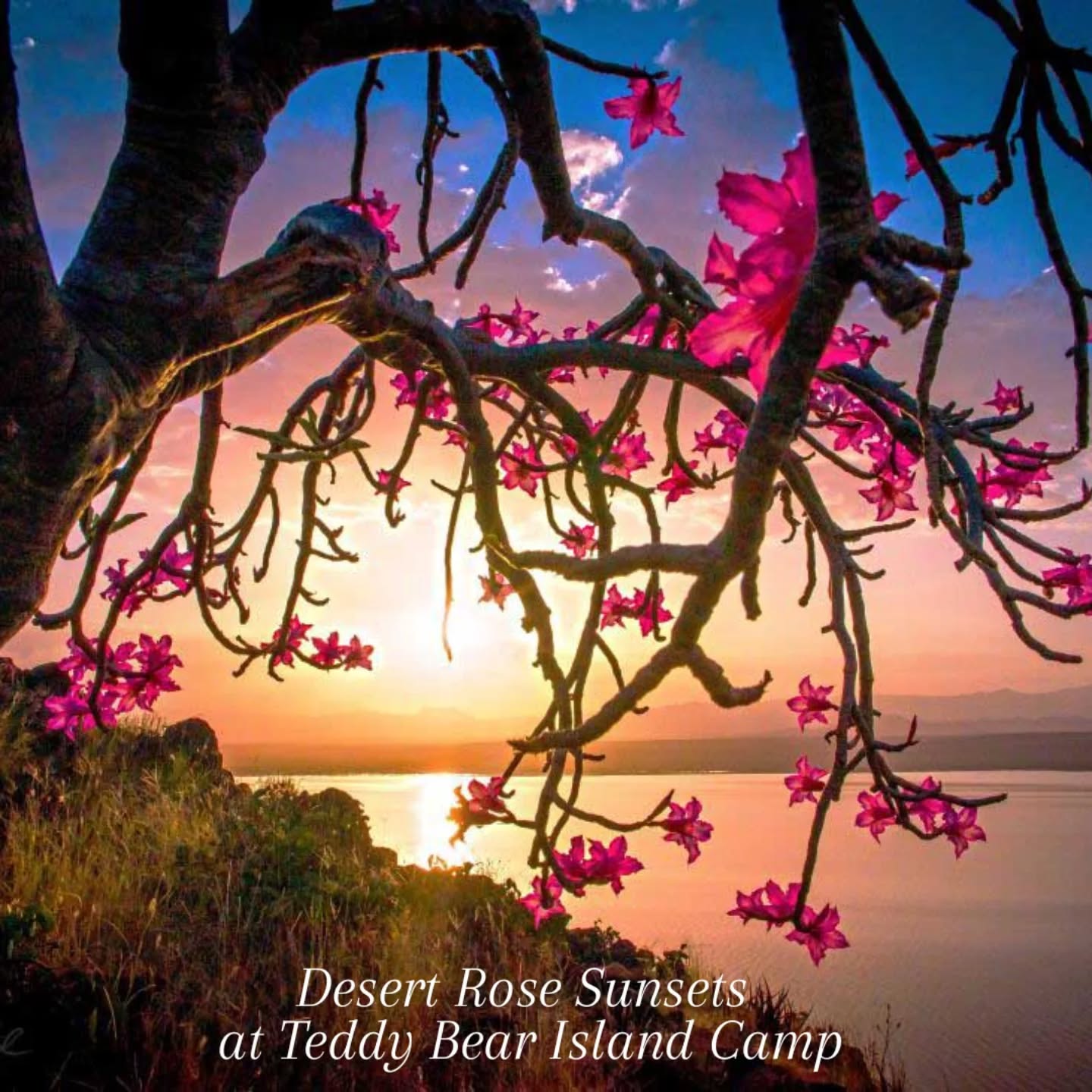 A weekend away in Nature is soothing to the soul. Explore Lake Baringo, one of the lakes of the Great Rift Valley. #greatriftvalley #lakebaringo #islandlife #weekendvibes