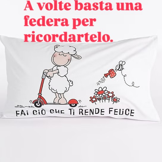 #HappyPeople #NonSmettereDiSognare #FederaConMessaggio #sognidoro