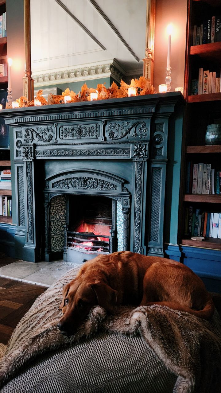 Rain rain go away...Ren says we're staying in today 🐕
What better thing is there to do when it's raining outside than get snuggled up by the fire with your dog 🔥🔥
Enjoy your weekend, everyone, whatever you're up to 💙🩵💜
Rainy day | shoot location | location house | labrador | fox red | historic features | period home
#myperiodhome #myperiodinterior #locationscouting #historichome #periodinteriors