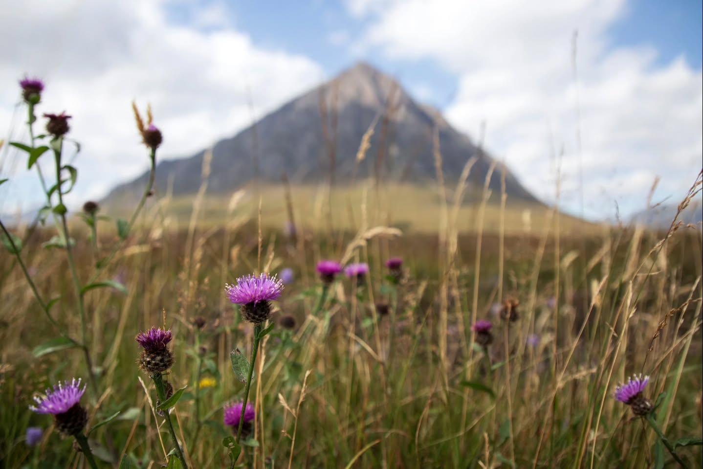 E T I V E M ò R
A quick trip up to Glencoe never disappoints 🏴
.
.
.
#travel #travelblogger #travelphotography #travelgram #photography #adventure #nature #landscape #instagood #instamood #instadaily #love #earthoutdoors #beautifuldestinations #discoverearth #wanderlust #picoftheday #canon #canonphotography #nofilter #scotland #scozia #north #europe