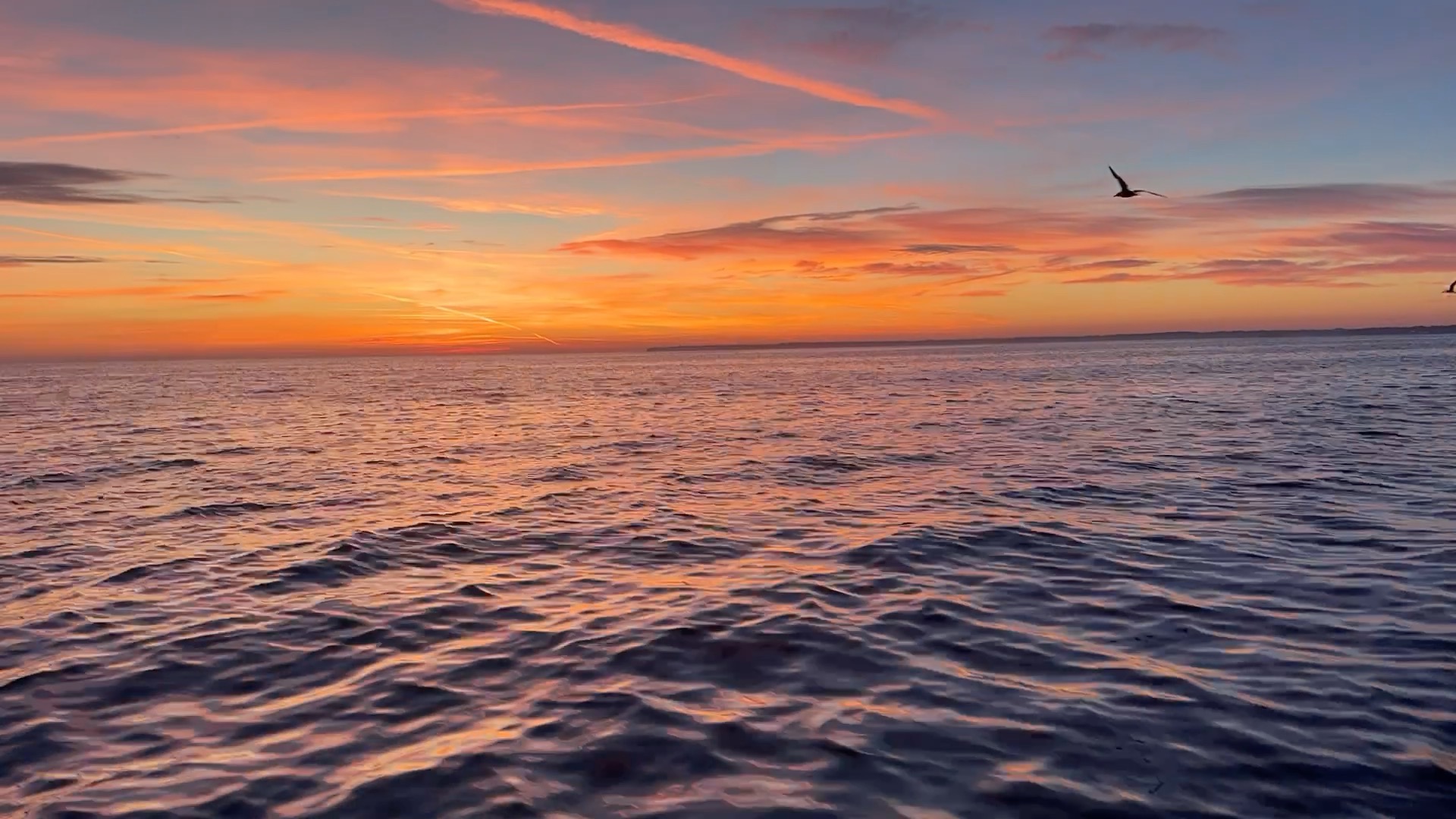 Bonjour à tous,
C'est la reprise des ventes le samedi matin🔥😋
Rendez vous de 10h à 12h demain !!!!
Au menu 🍽️ :
👉🏻 Coquilles St Jacques
👉🏻Poissons 🐠
- Sole
- Raie
- Rouget Barbet
- Encornet
- Seiche
- St pierre
- Barbue
- Roussette ....
👉🏻Araignées de mer 🦀
📍A la petite boutique :
16 rue ar men à Erquy
Infos et réservations par sms au
☎️ 06 59 81 72 43
Coquilles St Jacques
En expédition dans toute la France 📦
https://www.pourdebon.com/armement-providence-vente-en...