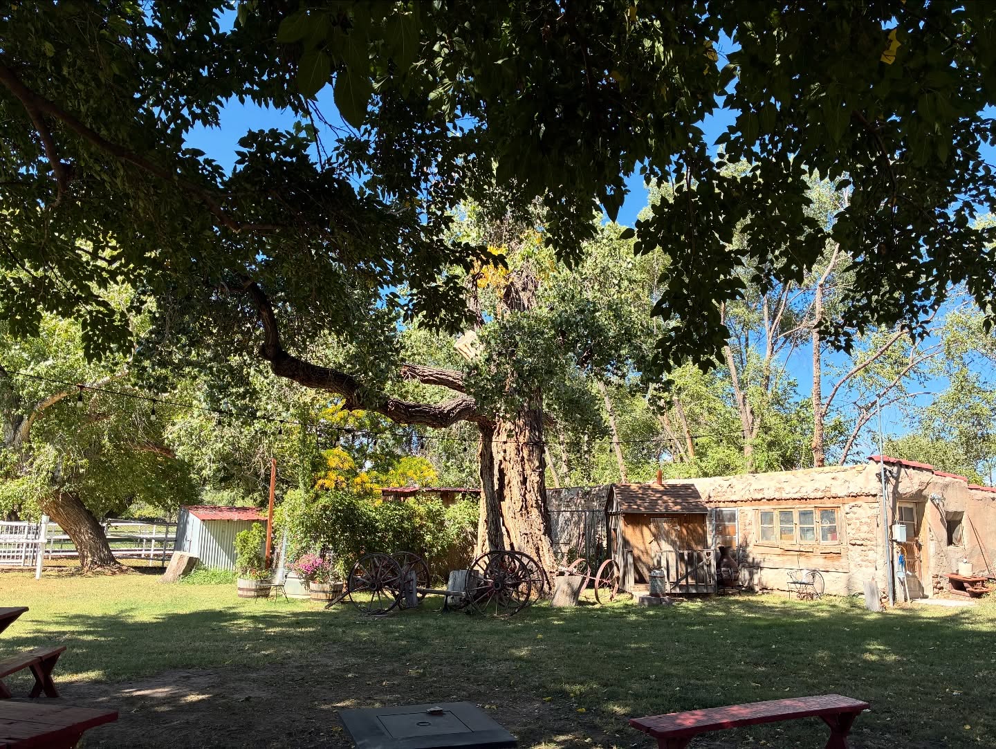 🎟 Food Orders Are Closed — But The Fun Isn’t! 🤠
We’re still selling event tickets for our Rustic Farm-Themed Evening at Red Horse BnB this Monday, October 6 at 6 PM!
Enjoy cowboy poetry, live music, and the cozy charm of the farm under the mulberry tree. 🌾✨
Come rain or shine — bring your hat, your friends, and your good vibes.
🎶 See you there, partner!
#RedHorseBnB #AlbuquerqueEvents #FarmLife #LiveMusic #NewMexicoNights #LocalEvents #WesternVibes #FallFun #CowboyPoetry #SupportLocalNM