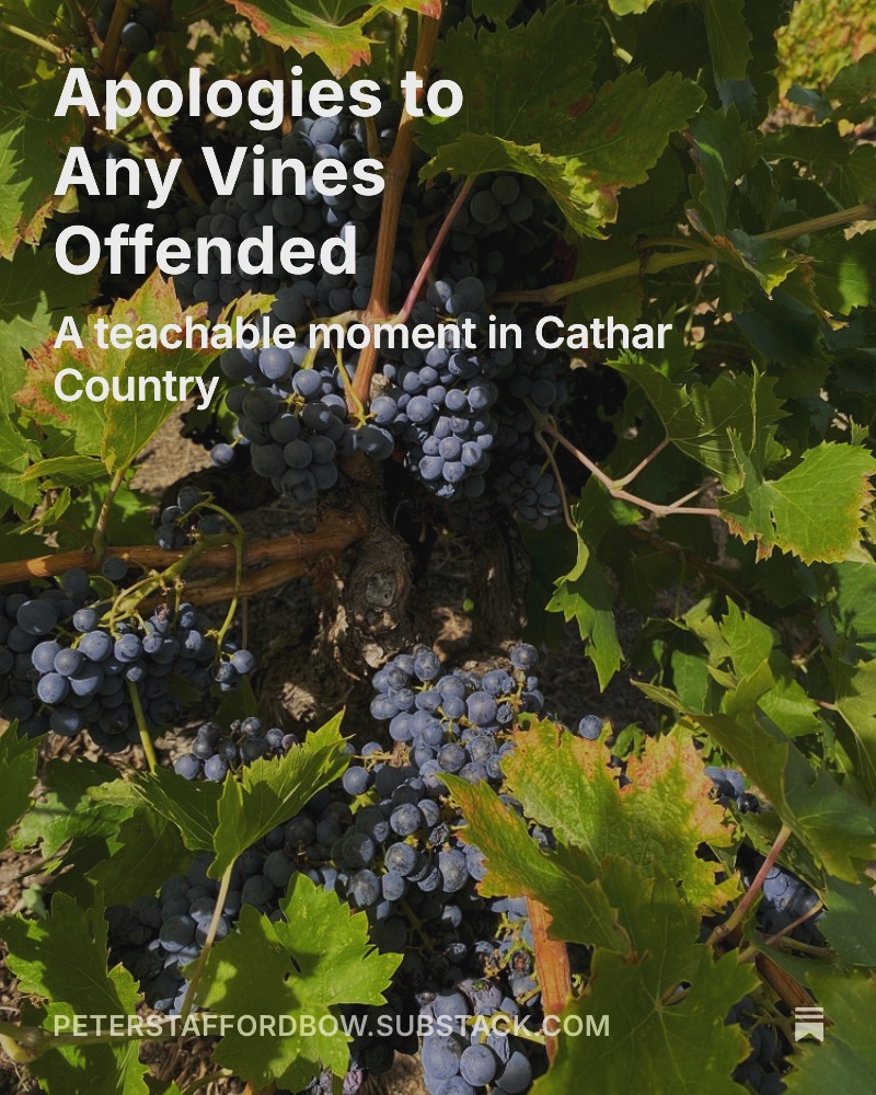 New Substack just dropped, where I travel to the Deep South (of France) to make amends with some vines then climb into a barrel to play footsie with their berries.
(Substack link in bio)
#wine #grenache #roussillon #aglyvalley