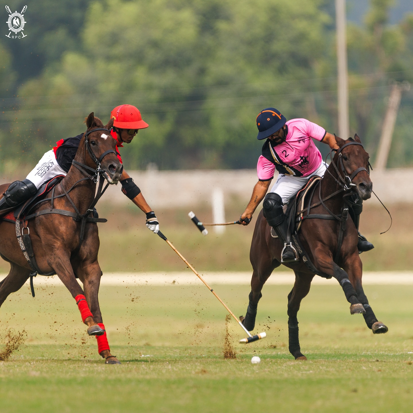 All Set For The Intense Battles Of The #semifinals.
Let’s see who reaches the #finals of BHAVNAGAR POLO TROPHY 🏆
#rajasthanpoloclub #jaipurpoloseason2025
📸 @penera__
