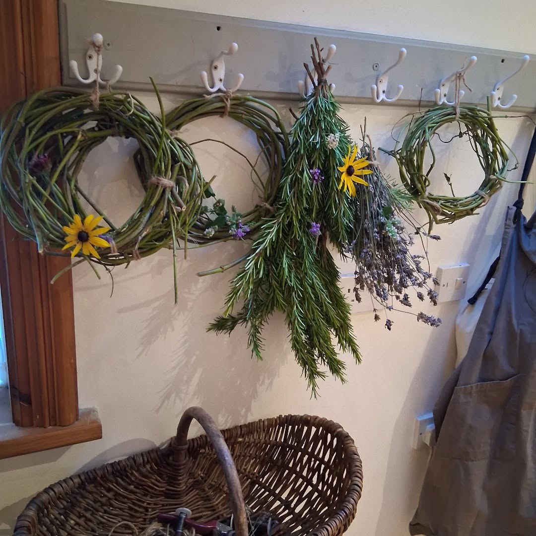 Wreath workshop spaces filling up
.
.
.
.
Don't forget to book your place
.
.
.
.
29 Nov 11-2pm
6 Dec 11-2pm
.
.
.
.
Clara Vale Village Hall
Link in bio
.
.
.
.
#cosycrafts
#wreath
#wreathworkshops
