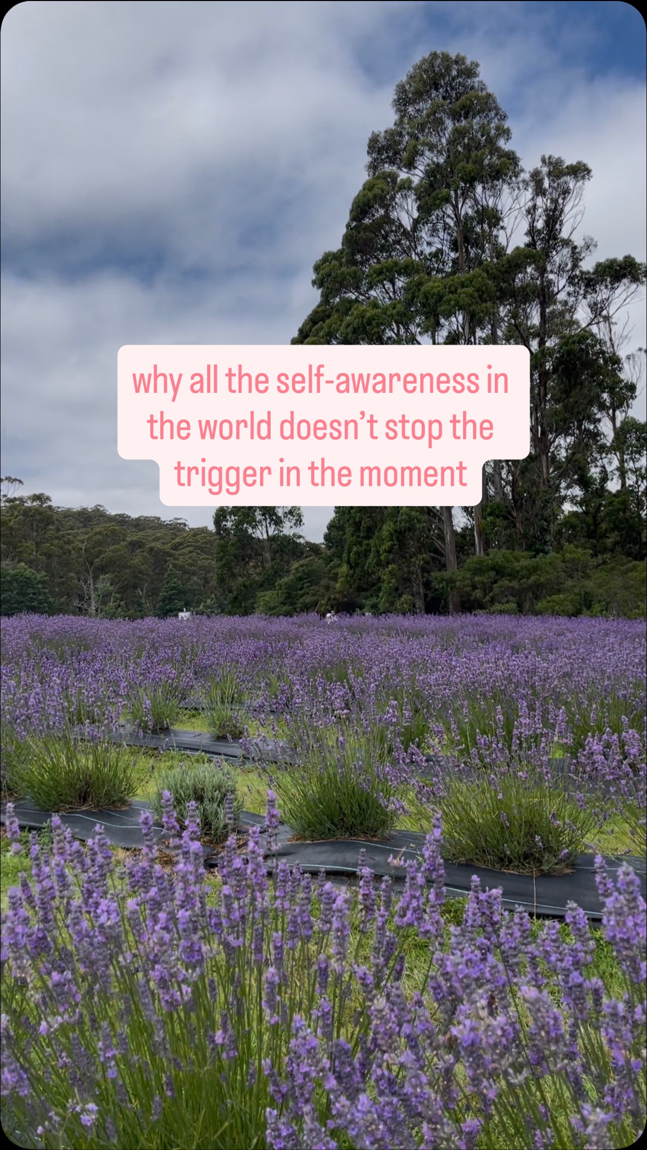 Ever wonder why all the self-awareness in the world doesnât stop the trigger in the moment?
Thatâs because healing isnât just in the mind it lives in the body. When your nervous system is stuck in old survival patterns, it overrides logic every time.
Somatic healing helps you move from analysis into embodiment, so your body no longer hijacks you and you can finally respond from calm, grounded presence.
Have you noticed this difference between knowing and embodying? Share below or DM me if youâd like to book a free connection call to explore your options with somatic therapy.