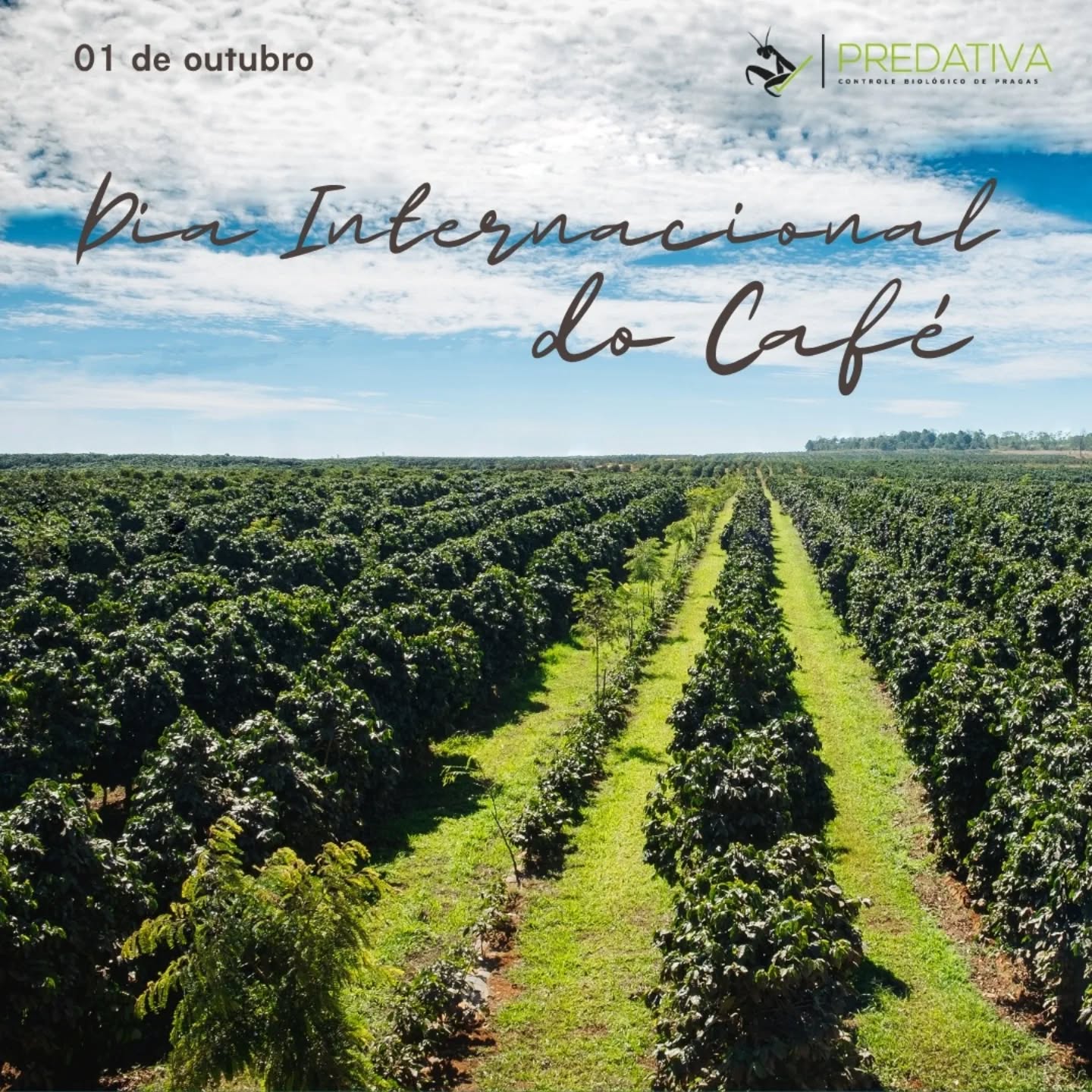 Com foco no manejo integrado de pragas, a #Predativa desenvolveu um sistema de automação para produção on farm dos crisopídeos, que são insetos predadores muito eficientes para controle biológico do ácaro vermelho, da broca do café, do bicho mineiro e da cigarrinha verde.
Acesse o site e saiba mais!
#café #controlebiologico #pragasagricolas #predativa