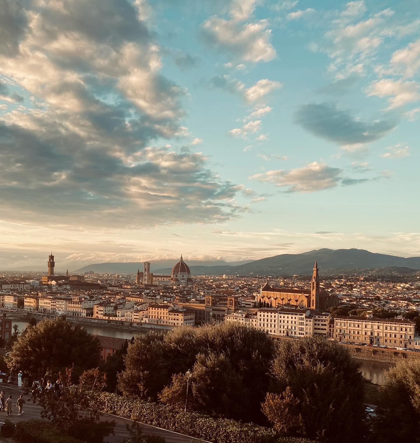 No hot Italian men tried to give me a million dollars 😔