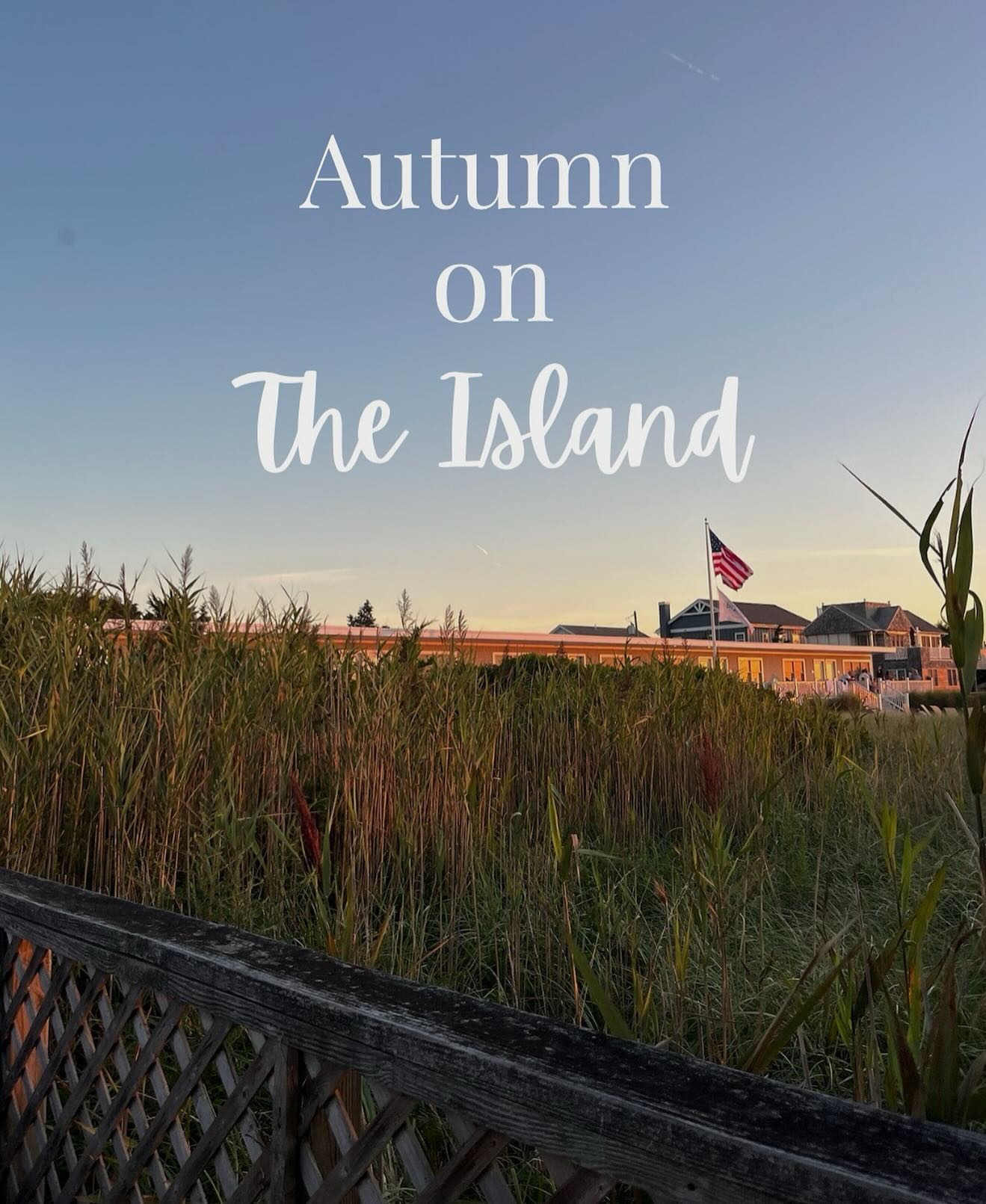 🍂 Autumn on The Island 🍂
Stay with us over Columbus Day Weekend and enjoy:
🚲 Complimentary bike rentals
🍷 A bottle of wine to toast your getaway
🍪 A sweet autumn treat on arrival
Soak in the crisp sea air, golden sunsets, and cozy fall vibes before the season slips away. 🌊🍁
📅 Use code OCTOBER- Offer valid for Columbus Day Weekend stays through the end of October 2025.
Restrictions apply: cannot be combined with other offers, discounts, existing reservations, or credits. Limited availability.