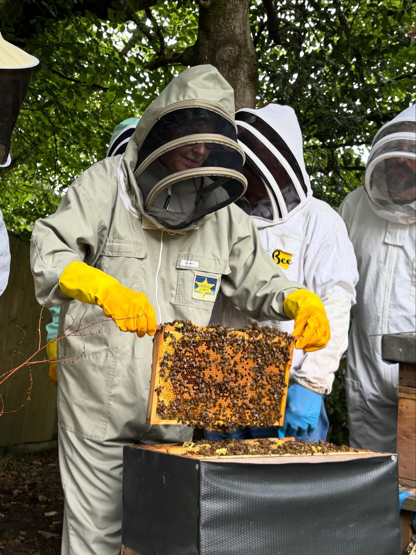 🐝 Come and be a BEEKEEPER with us on one of our Bee Experience days.
🍯Half of the places on our Bee Experience days for 2026 are now booked up. This year, we sold out in January, so if you’re thinking of gifting someone special (or treating yourself) to a Bee Experience day for Christmas, please get in touch quickly.
🐝 You’ll be going into our hives, spinning your own jar of honey, learning how to make a beeswax candle and sampling some of the delicious award-winning honey from our different hives.
🍯It’s a full day of fun and learning about these incredible creatures with a delicious 2 course meal thrown in. No previous experience needed, just a love of bees and honey is essential!
🐝 Dates available are:
Sunday 7th and 28th June
Sunday 12th and 26th July
Sunday 2nd August
Email us for more information:
pim.warmer@outlook.com
🐝🍯🐝🍯🐝🍯