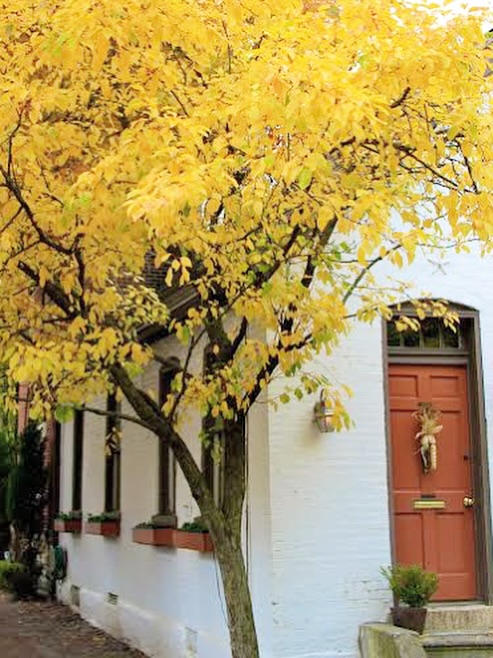 🍂 Columbus Market’s Still Moving.
Rates cooled. Prices leveled. Smart buyers are jumping in before winter.
Thinking of selling or investing? Let’s talk strategy.
#ColumbusRealEstate #FallMarket #JoeCiminoRealtor #HomeRoundsRealty