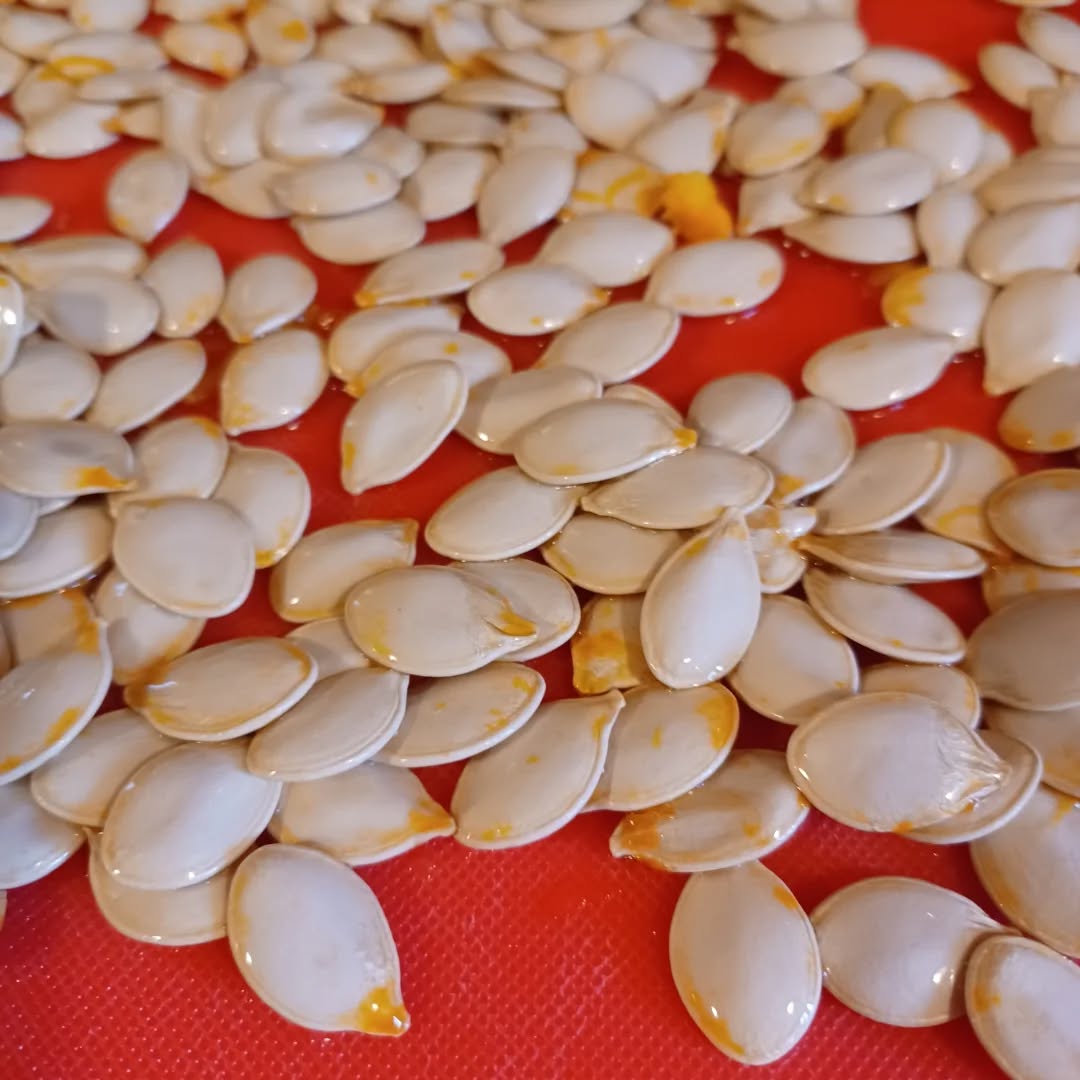 Autumn's harvest has filled the house with old-time aromas and small, familiar comforts. #autmnđ #harvest #homecooking