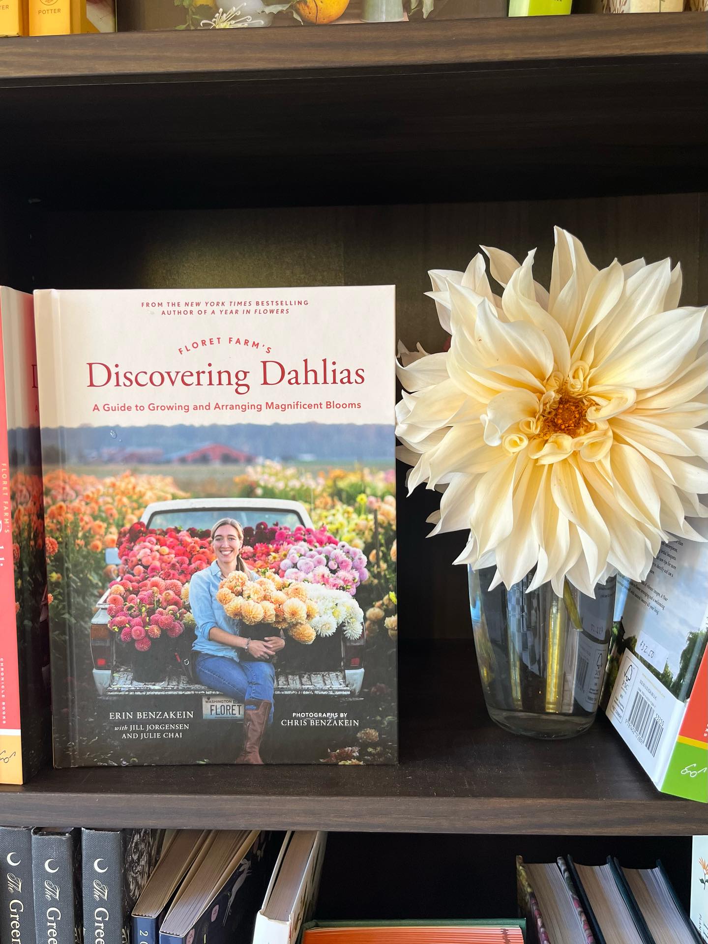 Last year at this time, we still lived in Brooklyn. But we were already farming, putting in orders for ranunculus and anemone corms, a plethora of seeds, and dahlia tubers.
A big inspiration was this book, “Discovering Dahlias,” by Erin Benzakein at @floretflower
Today, we have a field filled with blooming dahlias and we’re proud to carry “Discovering Dahlias” on our bookshelves. We’re so appreciative to all of the flower growers who we’ve learned from this last year.
Oh, and that dahlia? It’s a magnificent dinner plate variety called Cafe au Lait.”
#floretfarm
#dahlia
#discoveringdahlias
#flowerfarm
#upstate
#upstateny
#dahliaseason
