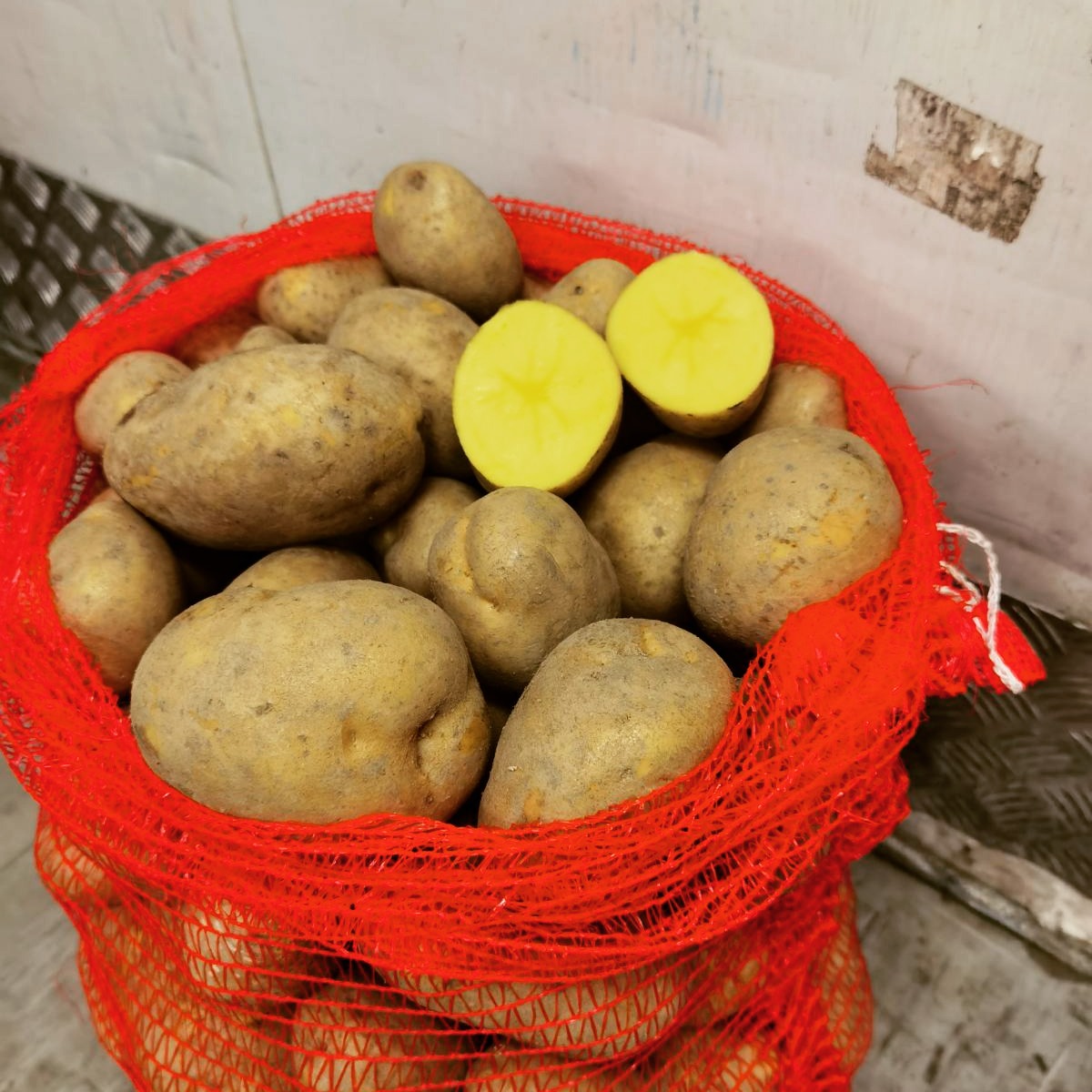Διαθέσιμη είναι στο κατάστημά μας και η πιο γευστική και φημισμένη πατάτα Νευροκοπίου ποικιλίας Jelly! Η μοναδική απόδοση της ποικιλίας και τα χαρακτηριστικά της, σε συνδυασμό με τα ευλογημένα εδάφη του Νευροκοπίου, προσφέρουν στο τραπέζι μας πατάτα ιδανική τόσο για τηγάνι όσο και για φούρνο. Βουτυράτη στην υφή, με χρυσοκίτρινη σάρκα, οβάλ σχήμα και ανθεκτικότητα, προσφέρει γεύση που θα κερδίσει ακόμα και εκείνους που δεν είναι φανατικοί της πατάτας!
Η πατάτα Νευροκοπίου είναι μία υψηλής ποιότητας πατάτα που ξεχωρίζει για την πλούσια και γεμάτη γεύση της. Ιδανική για όλες τις μαγειρικές χρήσεις η πατάτα αποτελεί σημαντικό προϊόν της τοπικής οικονομίας και παράδοσης, με την καλλιέργειά της να χρονολογείται από τον 19ο αιώνα και να υιοθετεί σύγχρονες τεχνικές παραγωγής. Ακόμη το 2002 αναγνωρίστηκε ως προιον Προστατευόμενης Γεωγραφικής Ένδειξης (ΠΓΕ).
Η ποικιλία ξεκίνησε από φυτώρια της Γερμανίας και το έτος έγκρισης της καλλιέργειας σε διάφορες χώρες είναι το 2005. Ο πρόγονός της θεωρείται η ποικιλία Marabel. Πολύ γρήγορα λατρεύτηκε από χώρες όπως Ρωσία, Ουκρανία και Ρουμανία όπου εξελίχθηκε σε βασική ποικιλία εμπορίας πατάτας. Εύκολη στην καλλιέργεια, με υψηλή εδαφική απόδοση έγινε και η αγαπημένη ποικιλία των παραγωγών. Η χρόνια συνεργασία μας με συγκεκριμένους παραγωγούς από το Κάτω Νευροκόπι σας εγγυάται ότι όχι μόνο θα μείνετε ικανοποιημένοι από την πατάτα Jelly, αλλά θα γίνει και η αγαπημένη σας!
😍